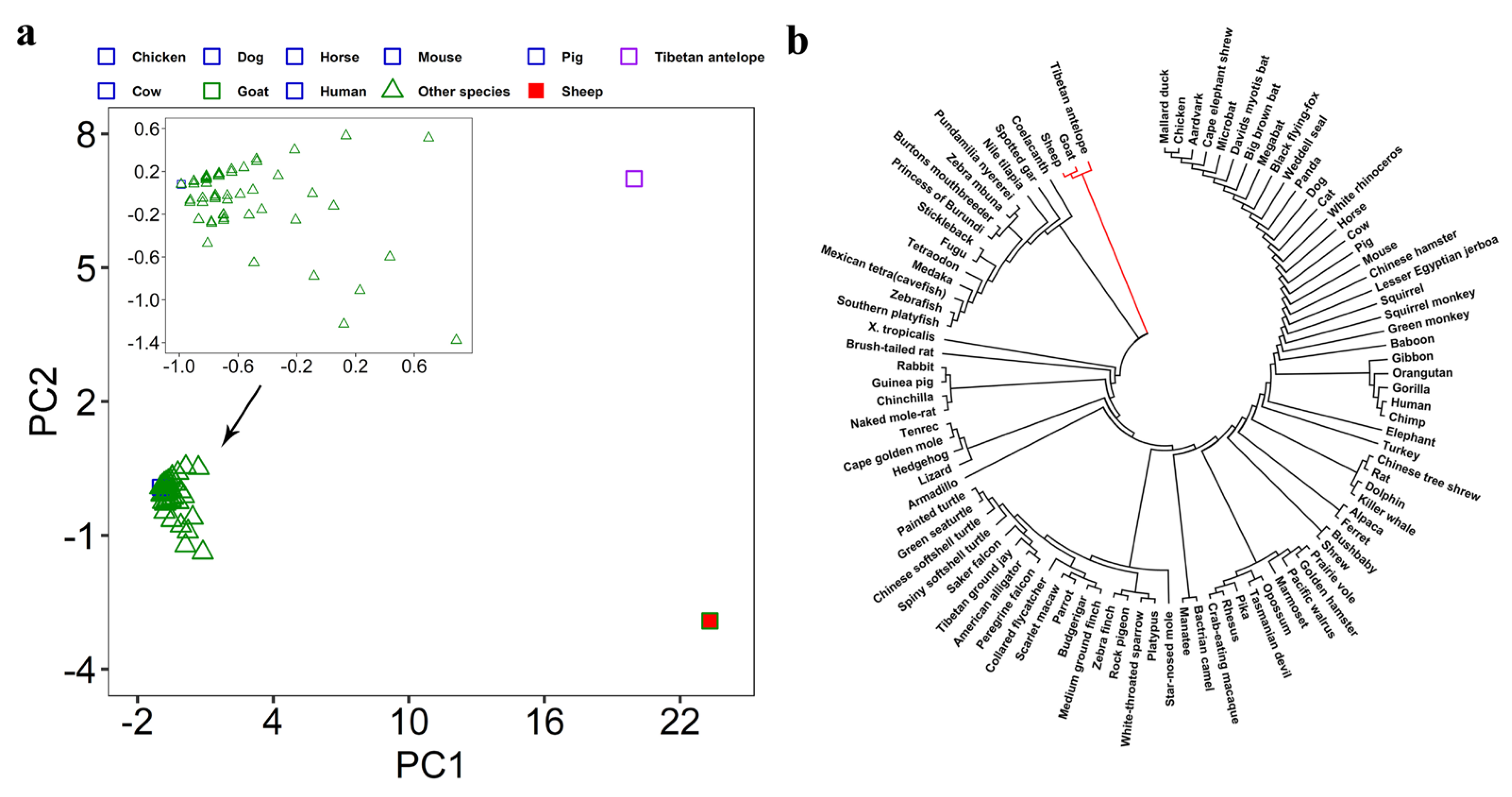 Biomolecules 14 00638 g004
