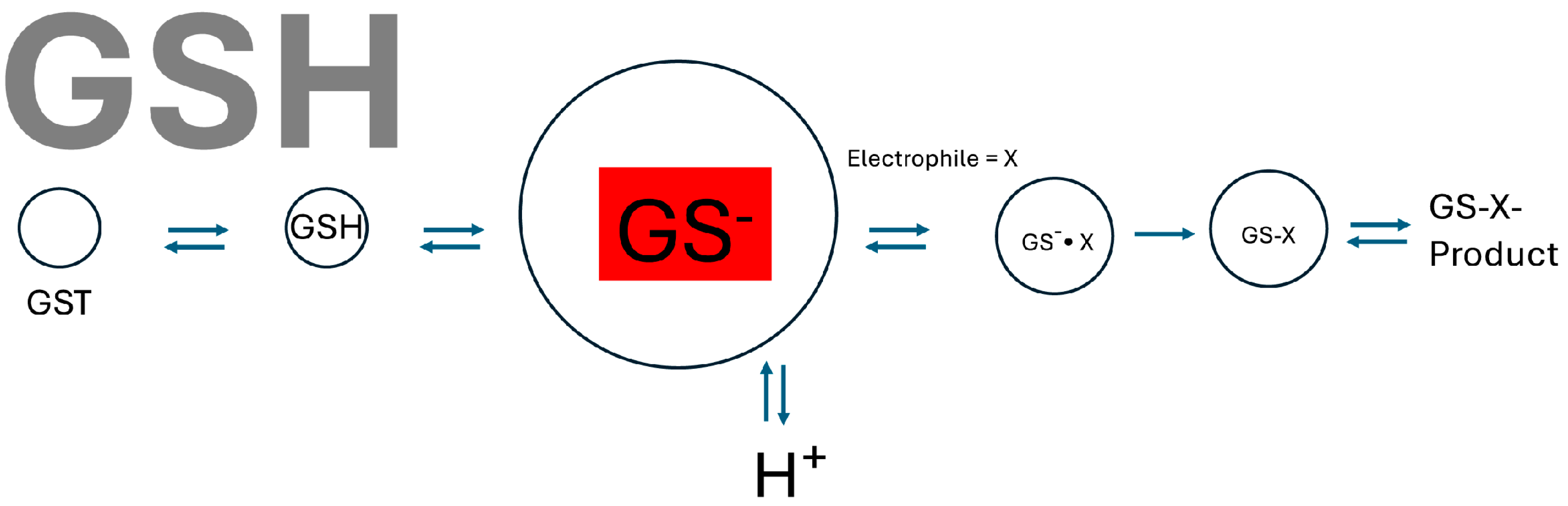 Biomolecules 14 00641 g001