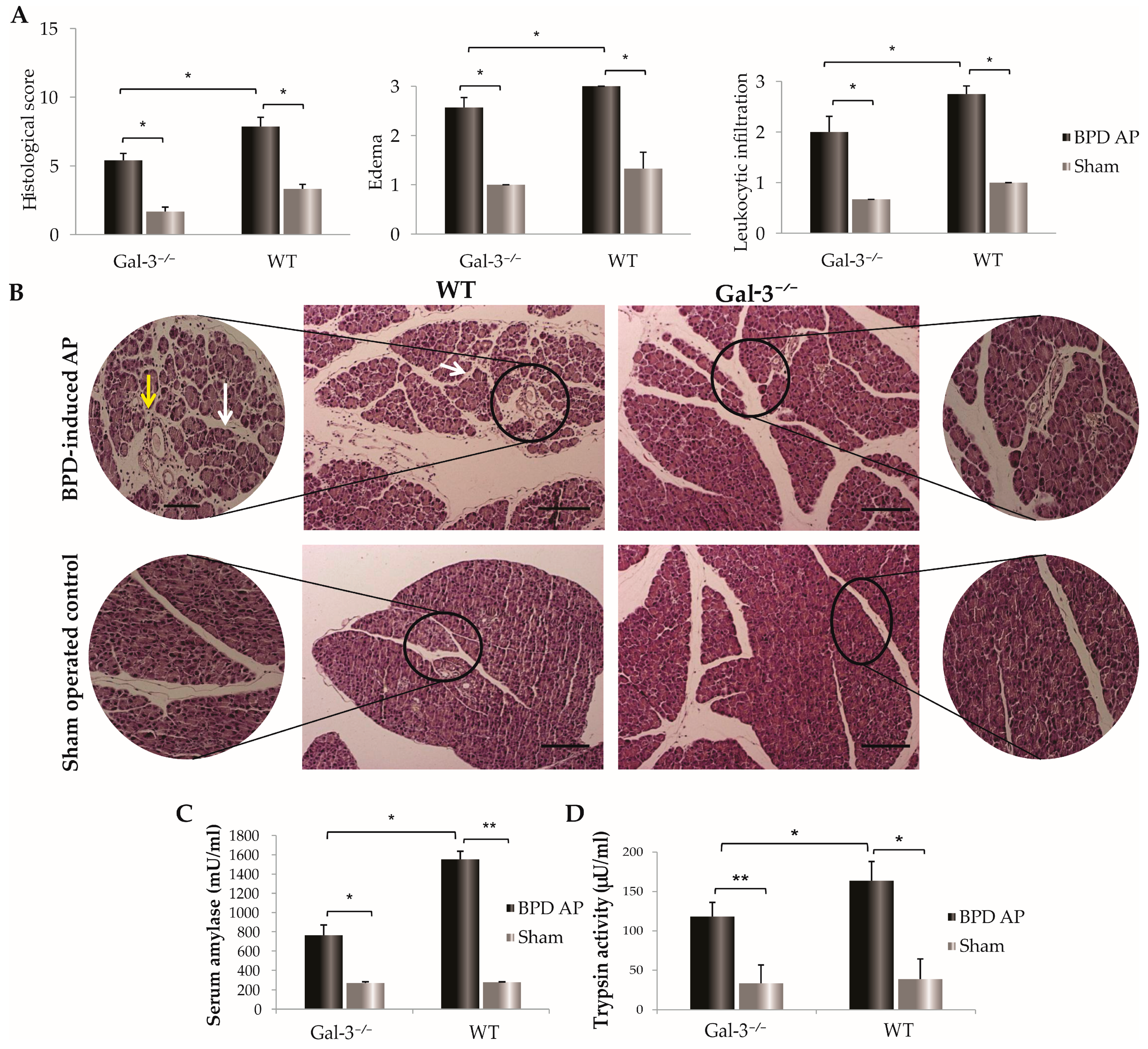 Biomolecules 14 00642 g001