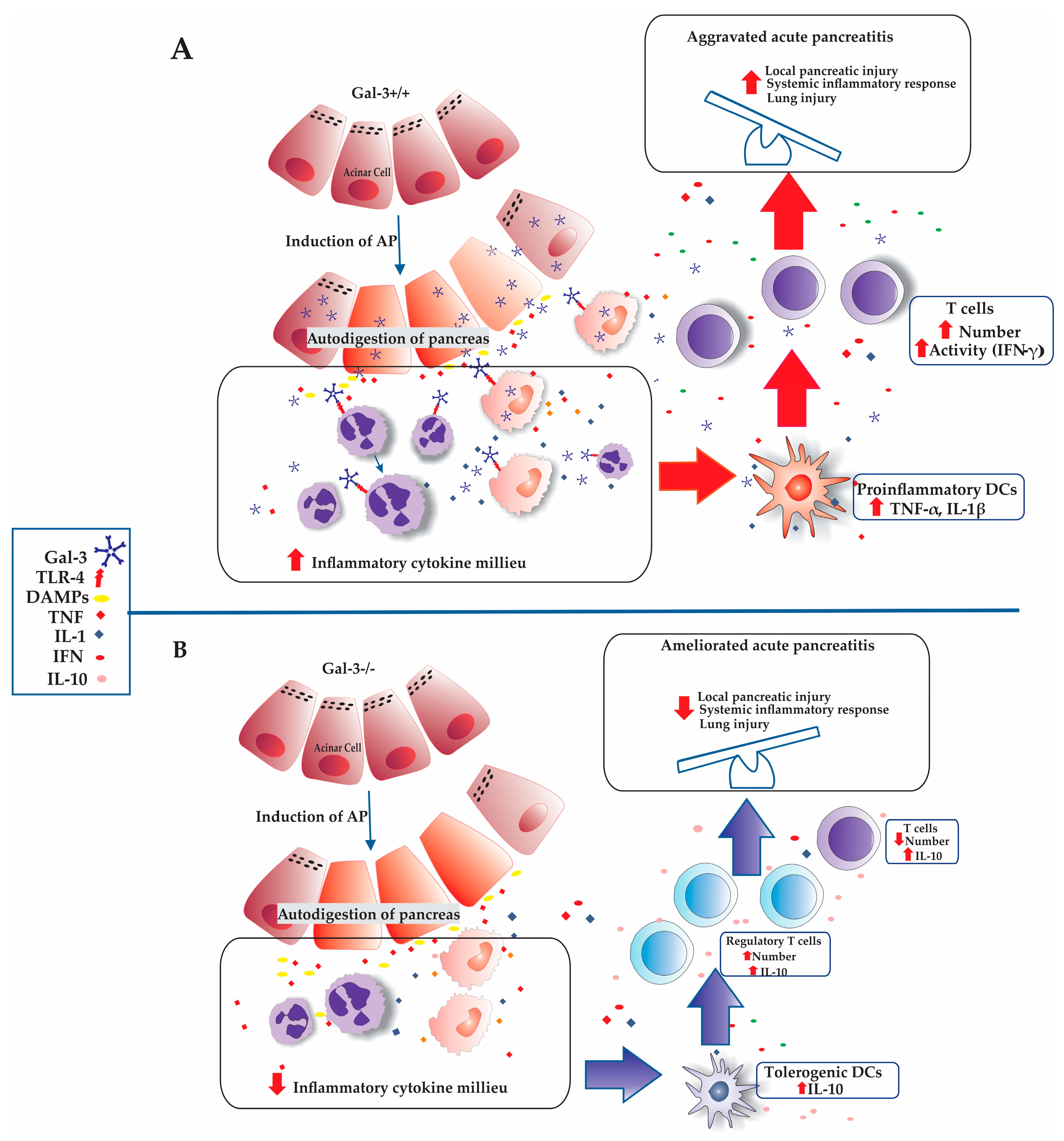 Biomolecules 14 00642 g006