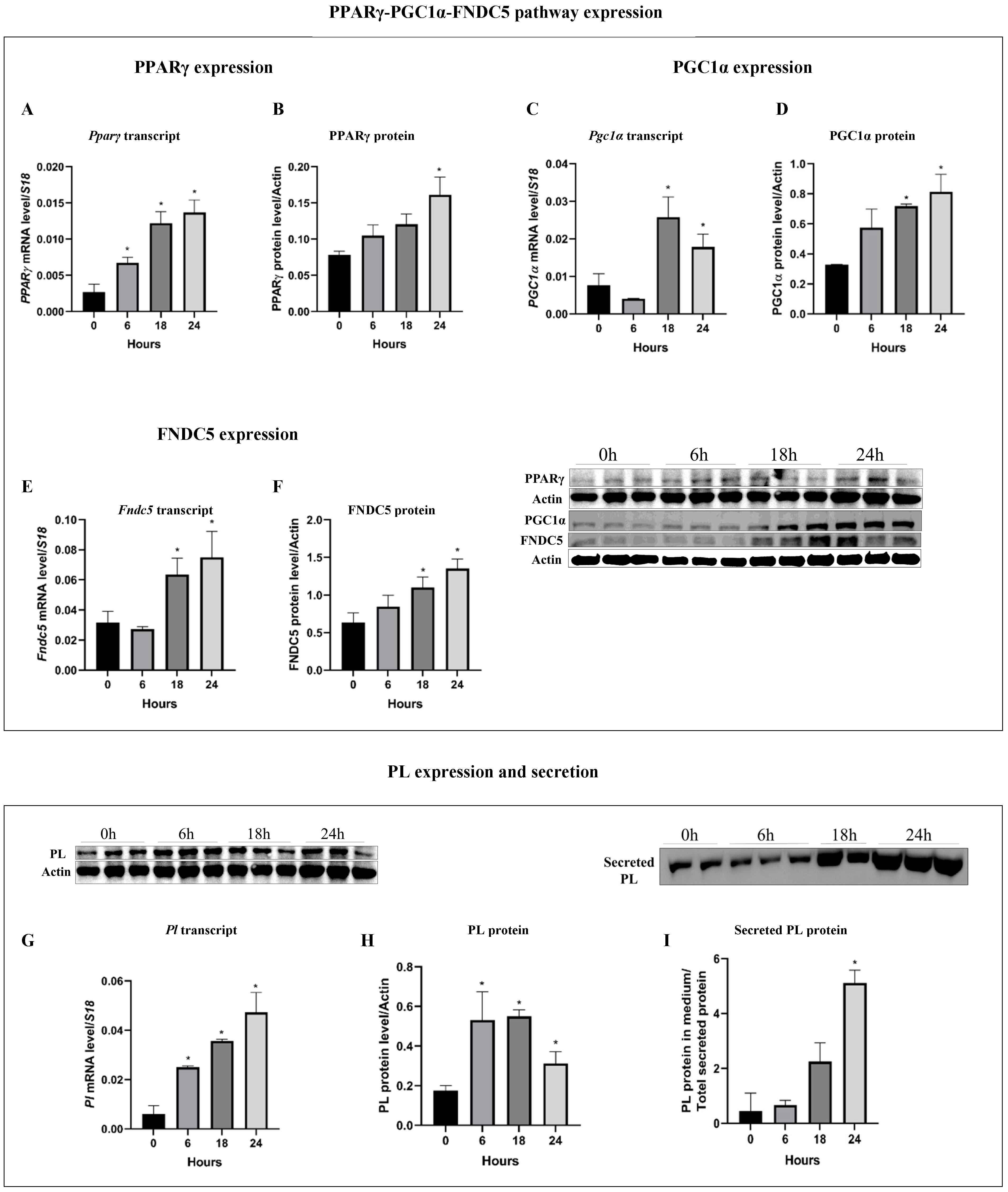 Biomolecules 14 00643 g001