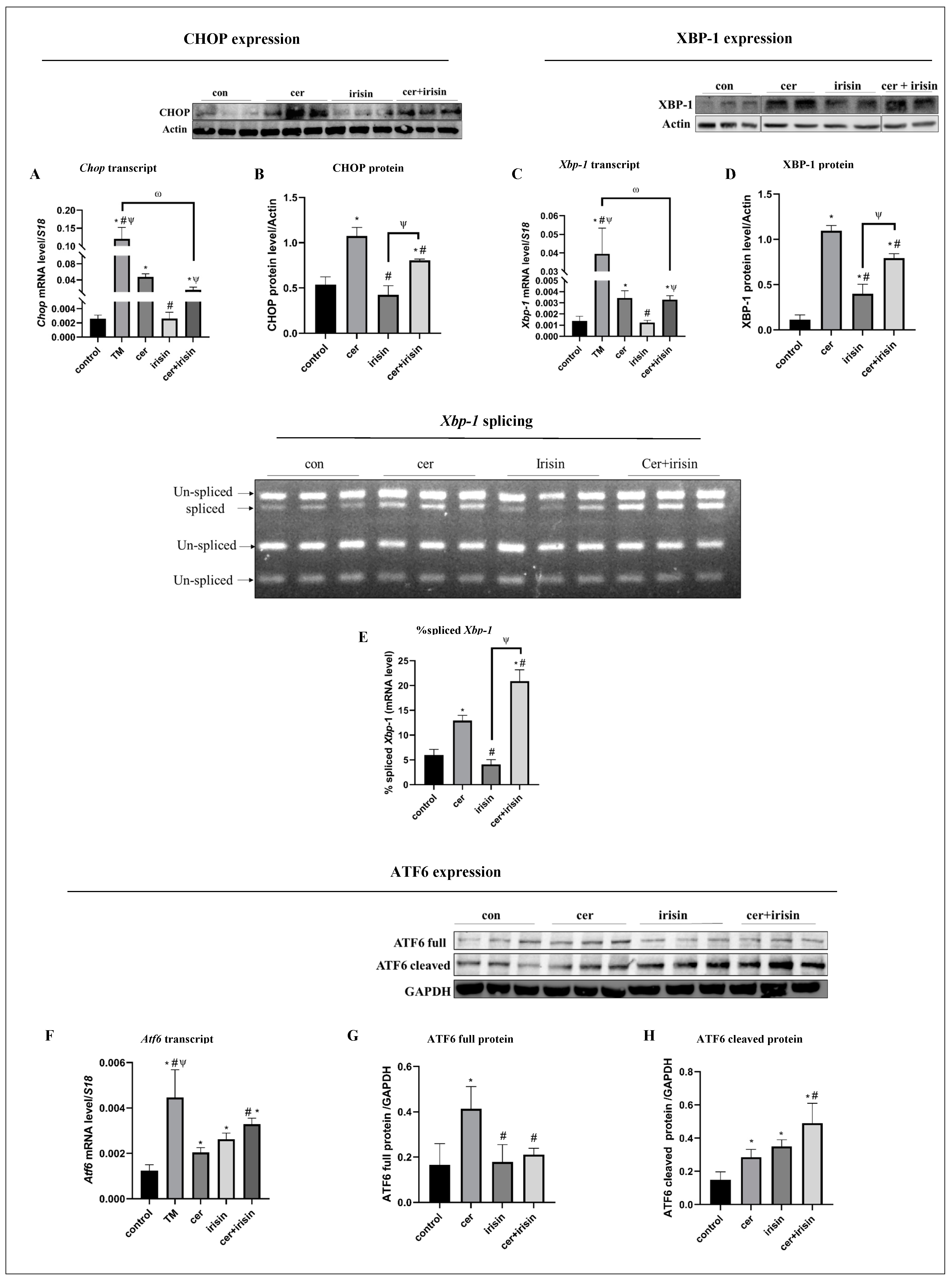 Biomolecules 14 00643 g004