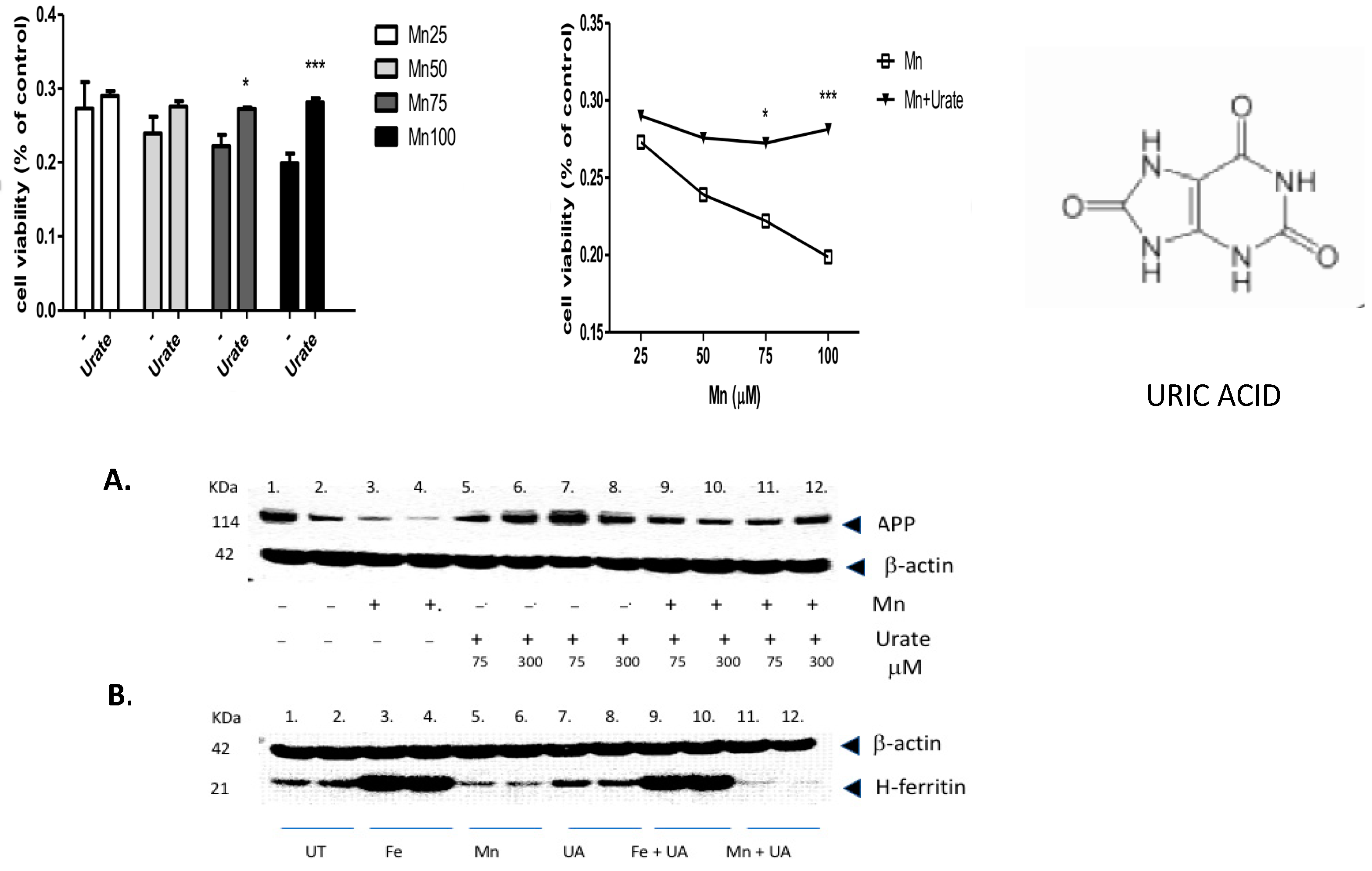 Biomolecules 14 00647 g003