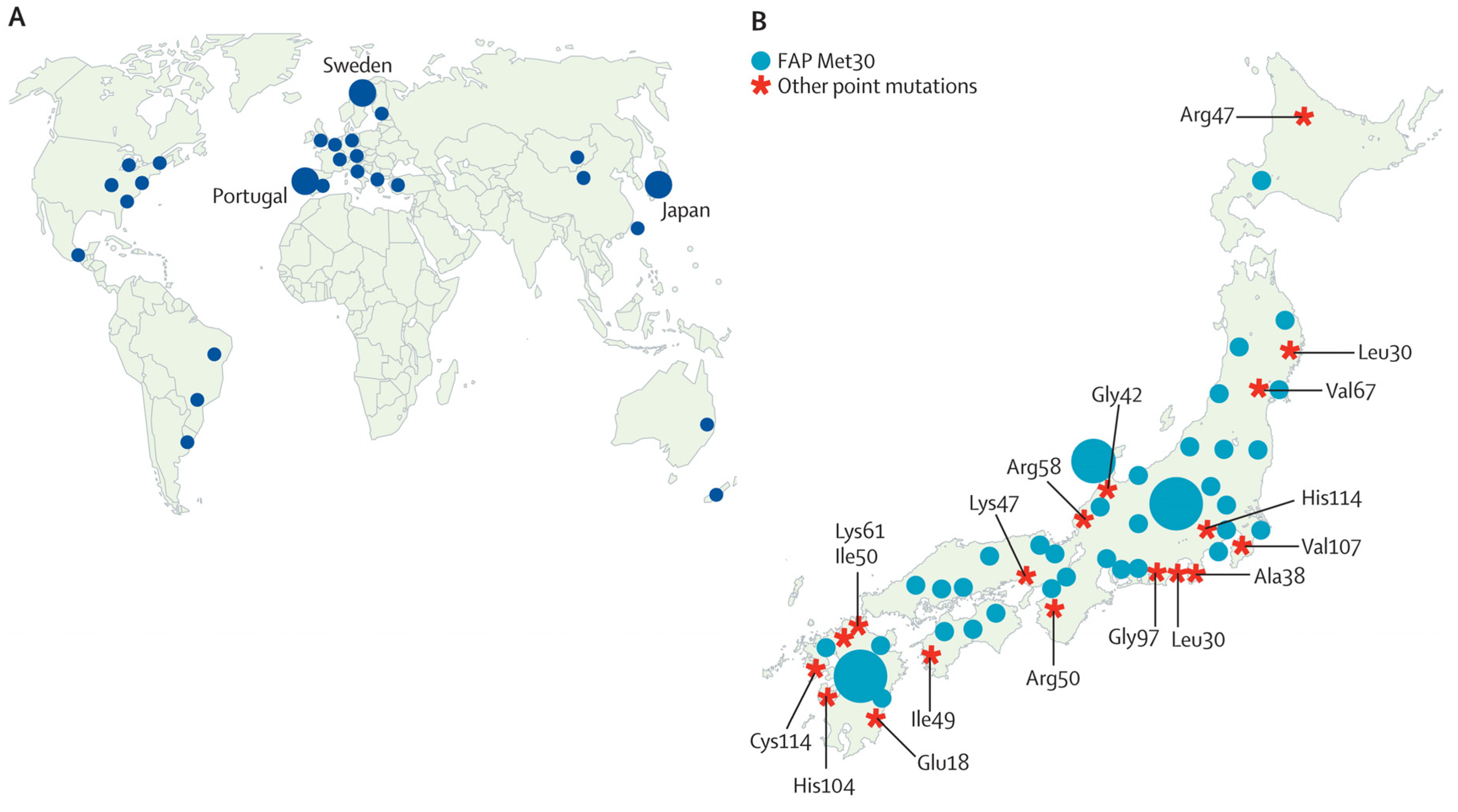 Biomolecules 14 00652 g001