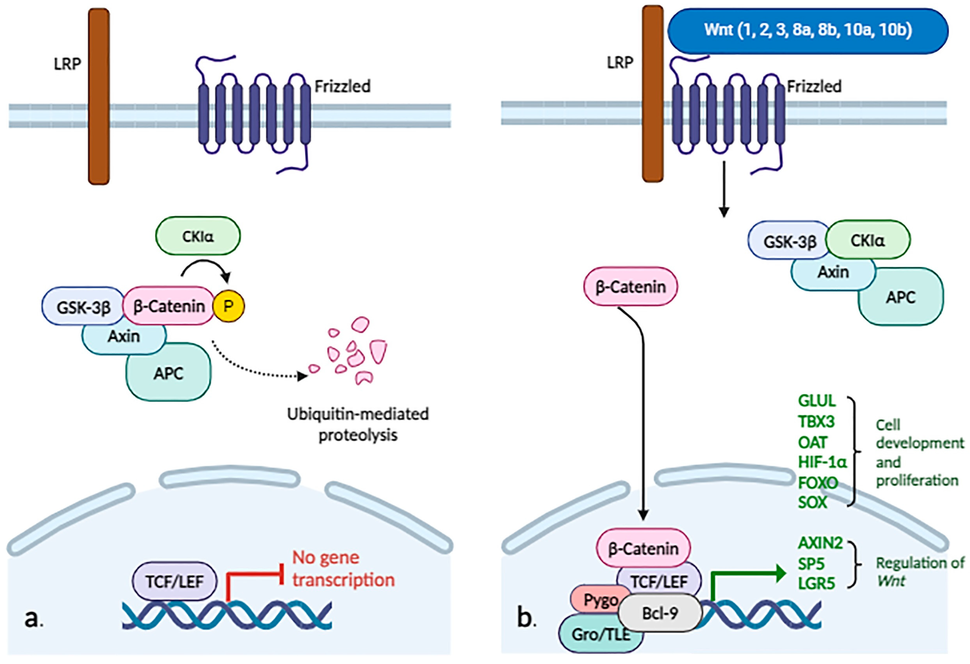 Biomolecules 14 00656 g002