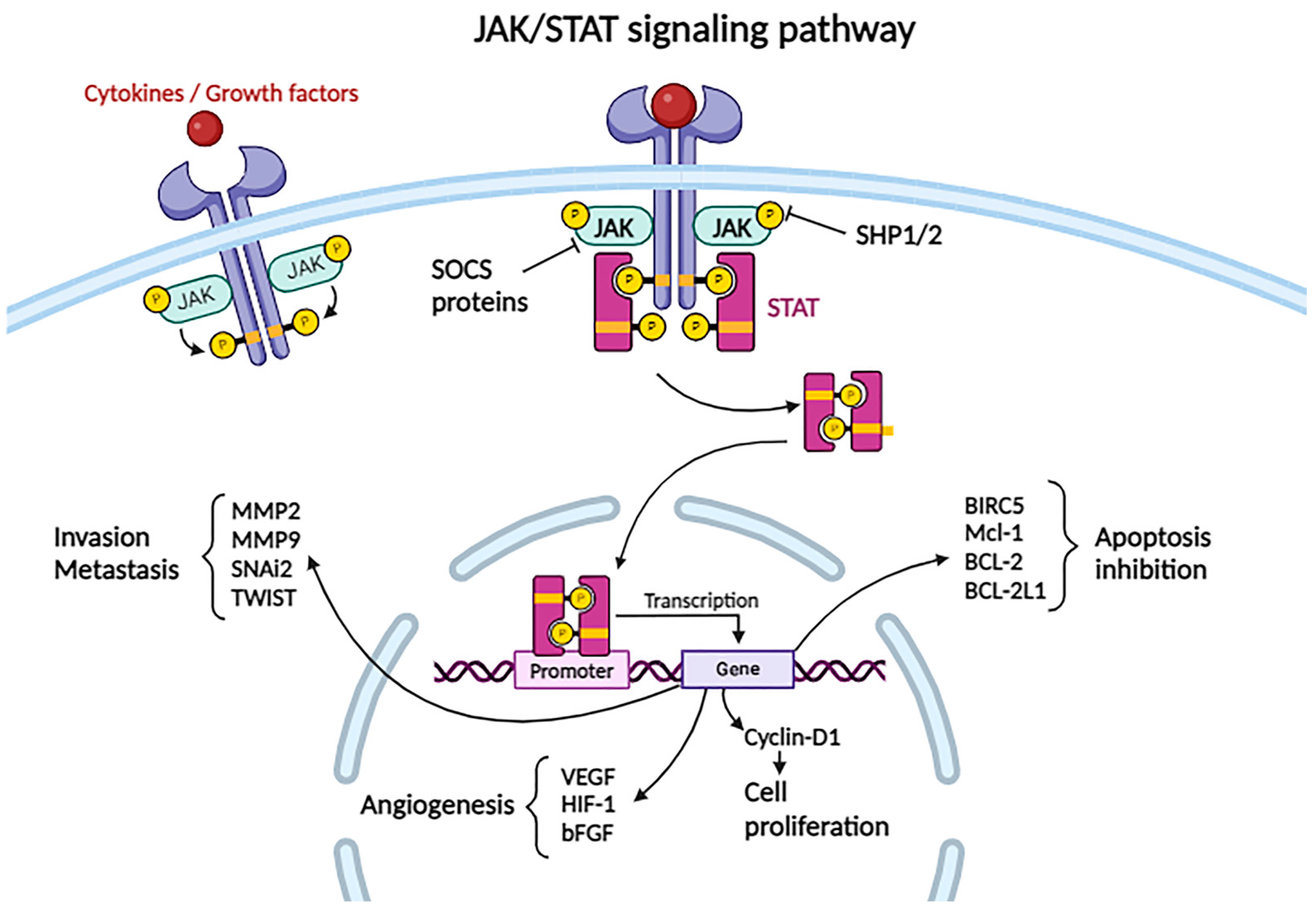 Biomolecules 14 00656 g003