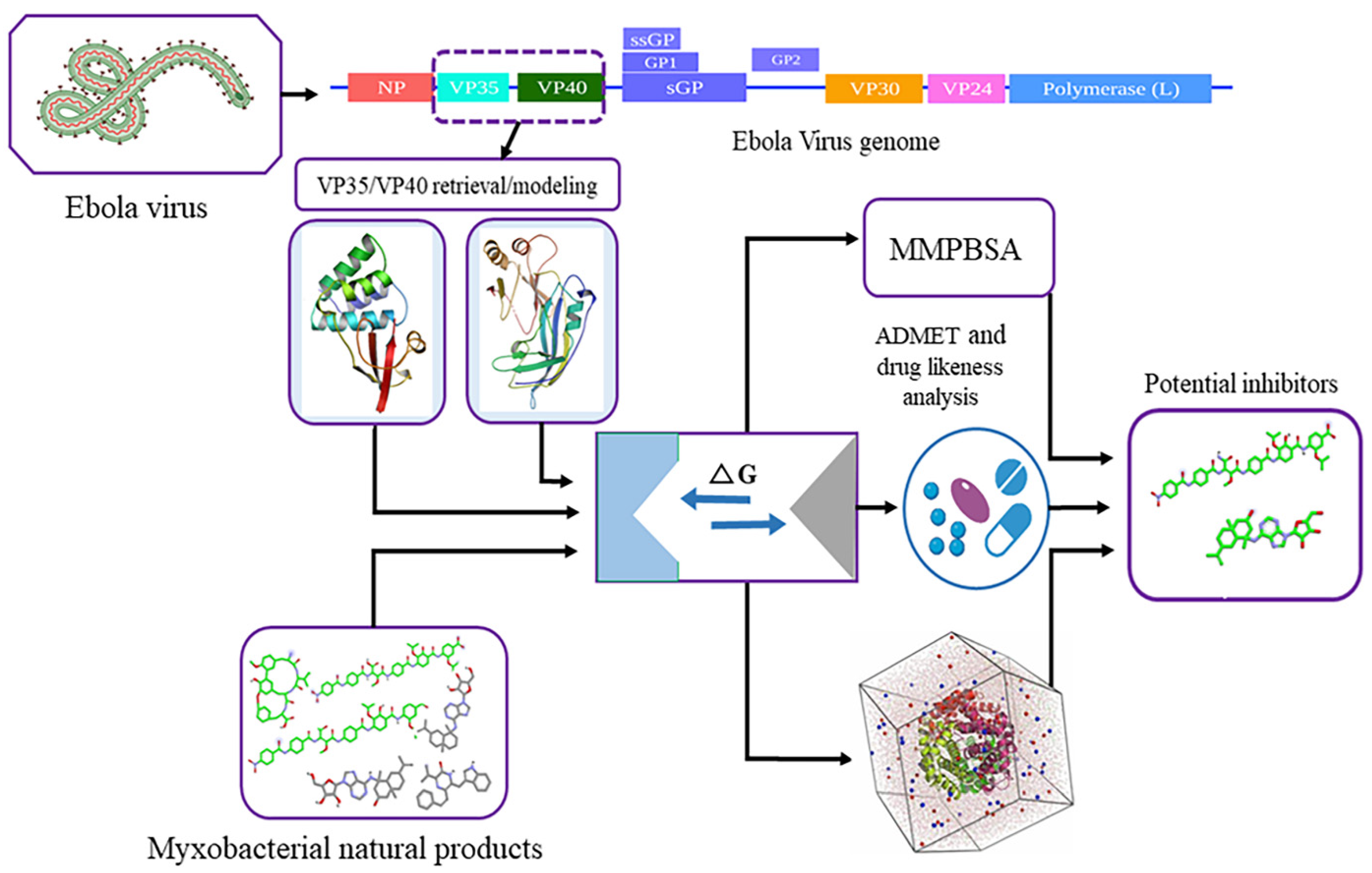 Biomolecules 14 00660 g001