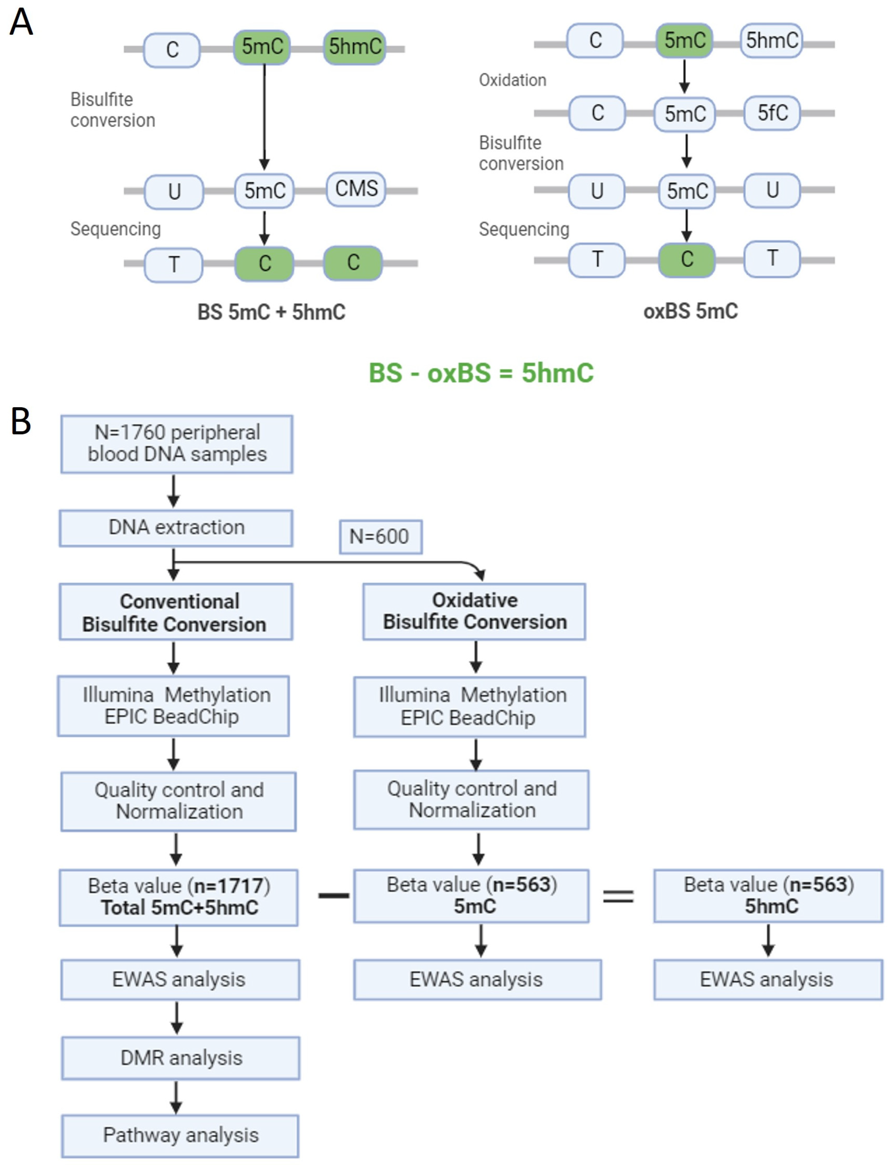 Biomolecules 14 00662 g001