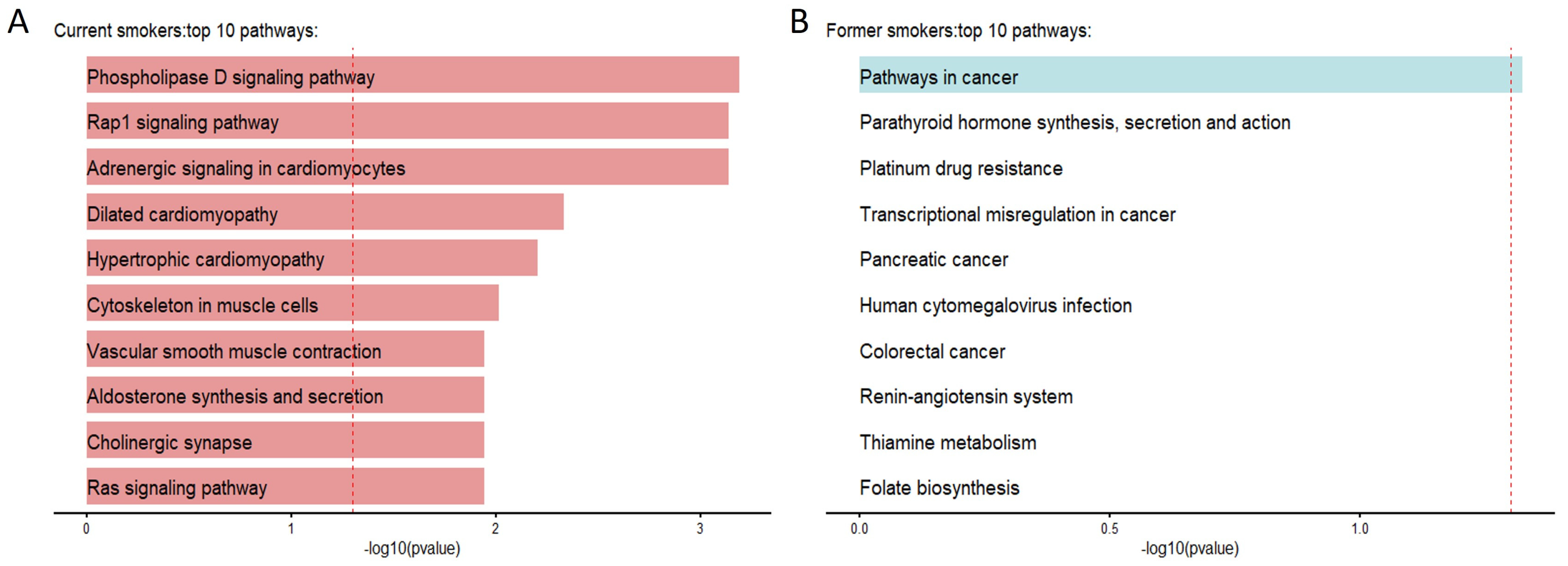 Biomolecules 14 00662 g006