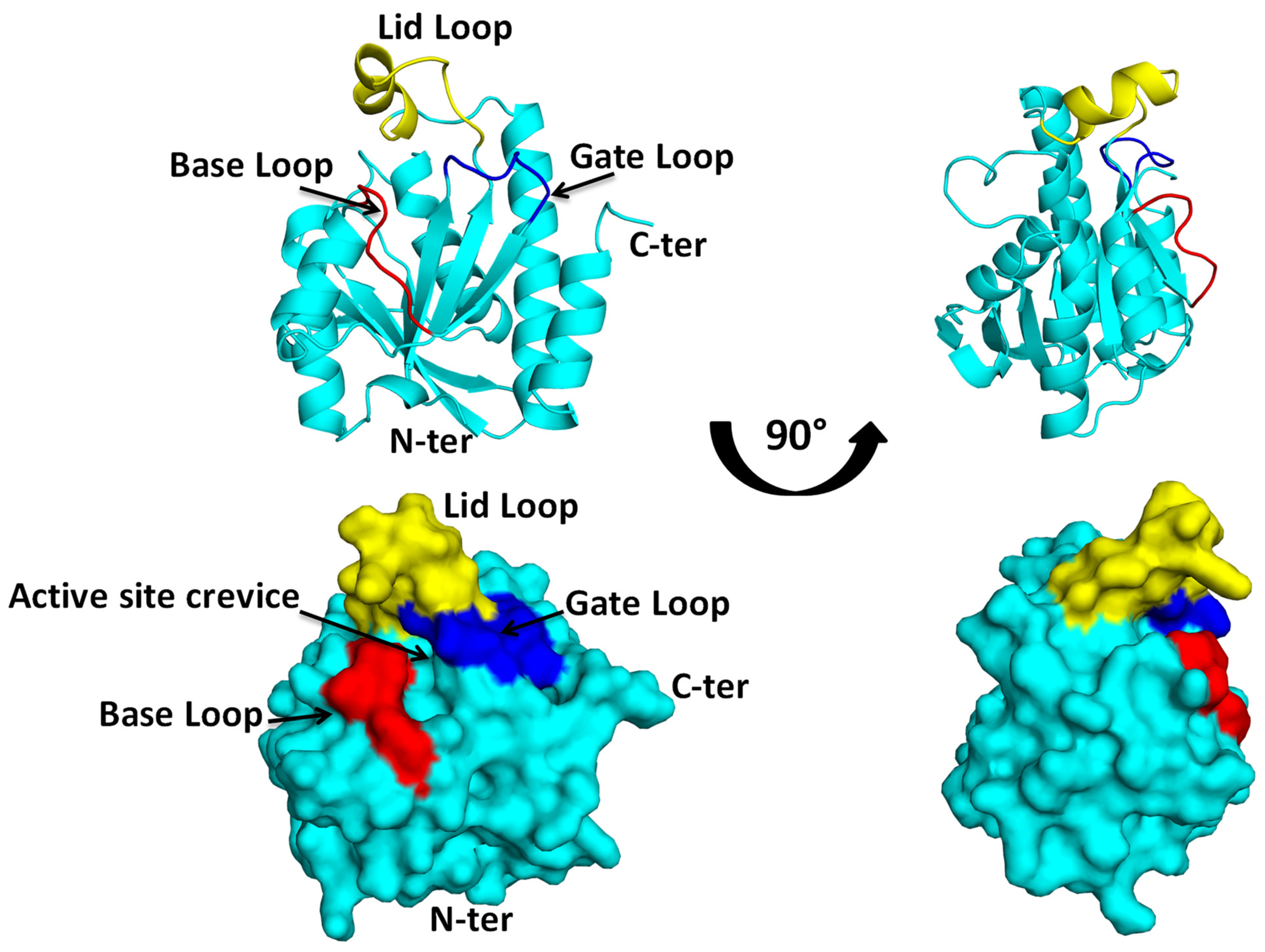 Biomolecules 14 00668 g004
