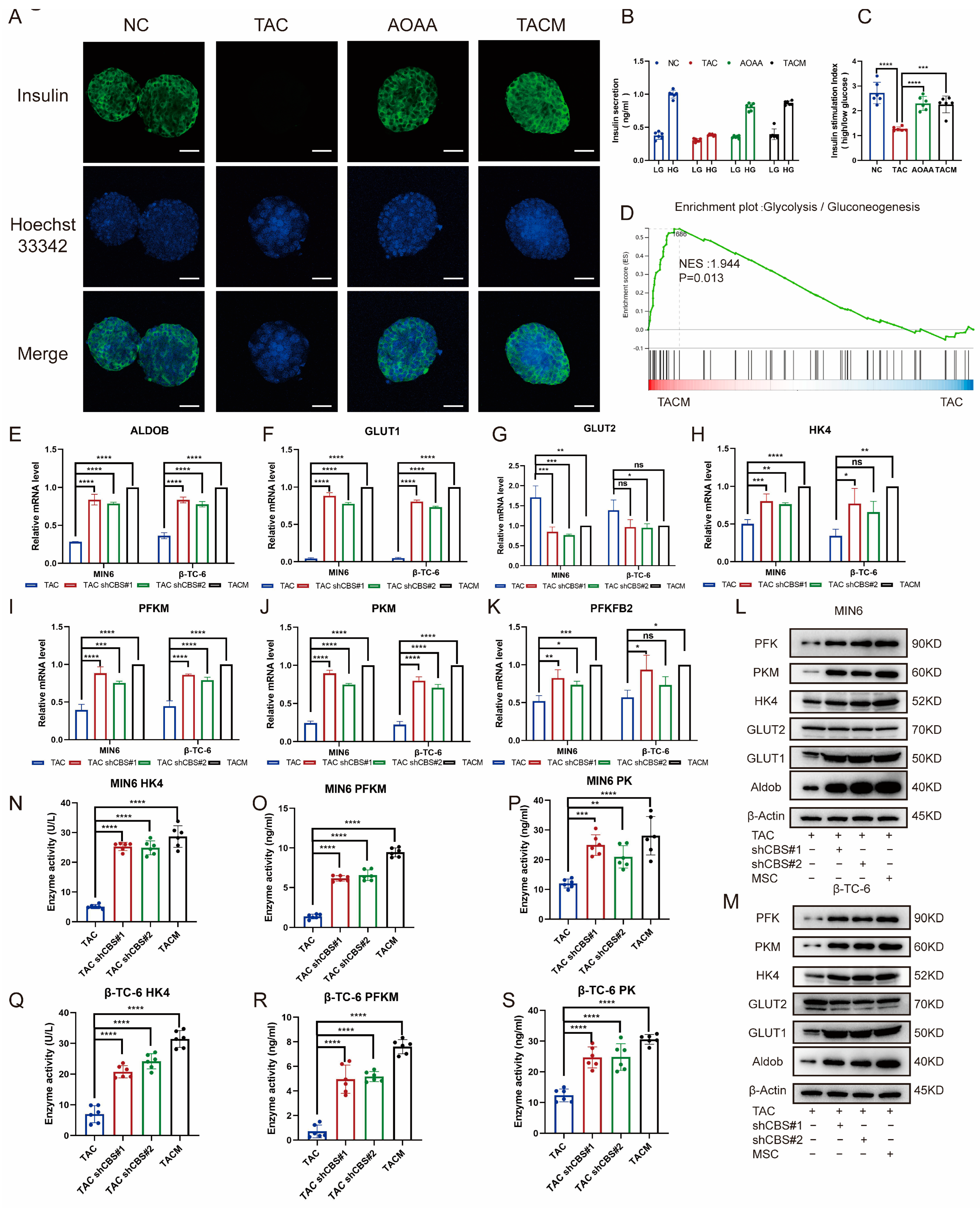 Biomolecules 14 00671 g005