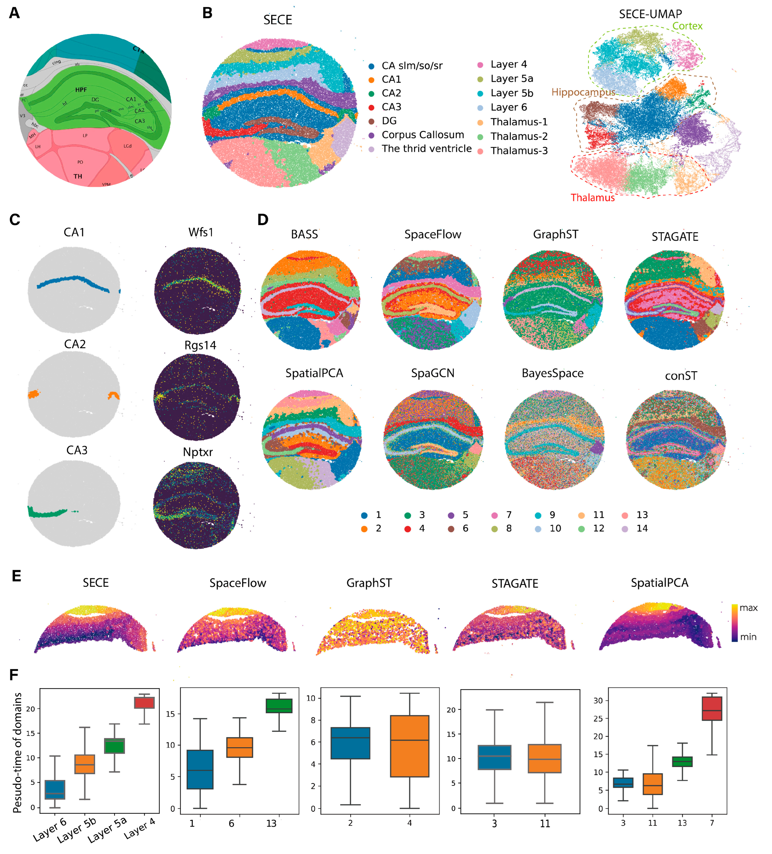 Biomolecules 14 00674 g003