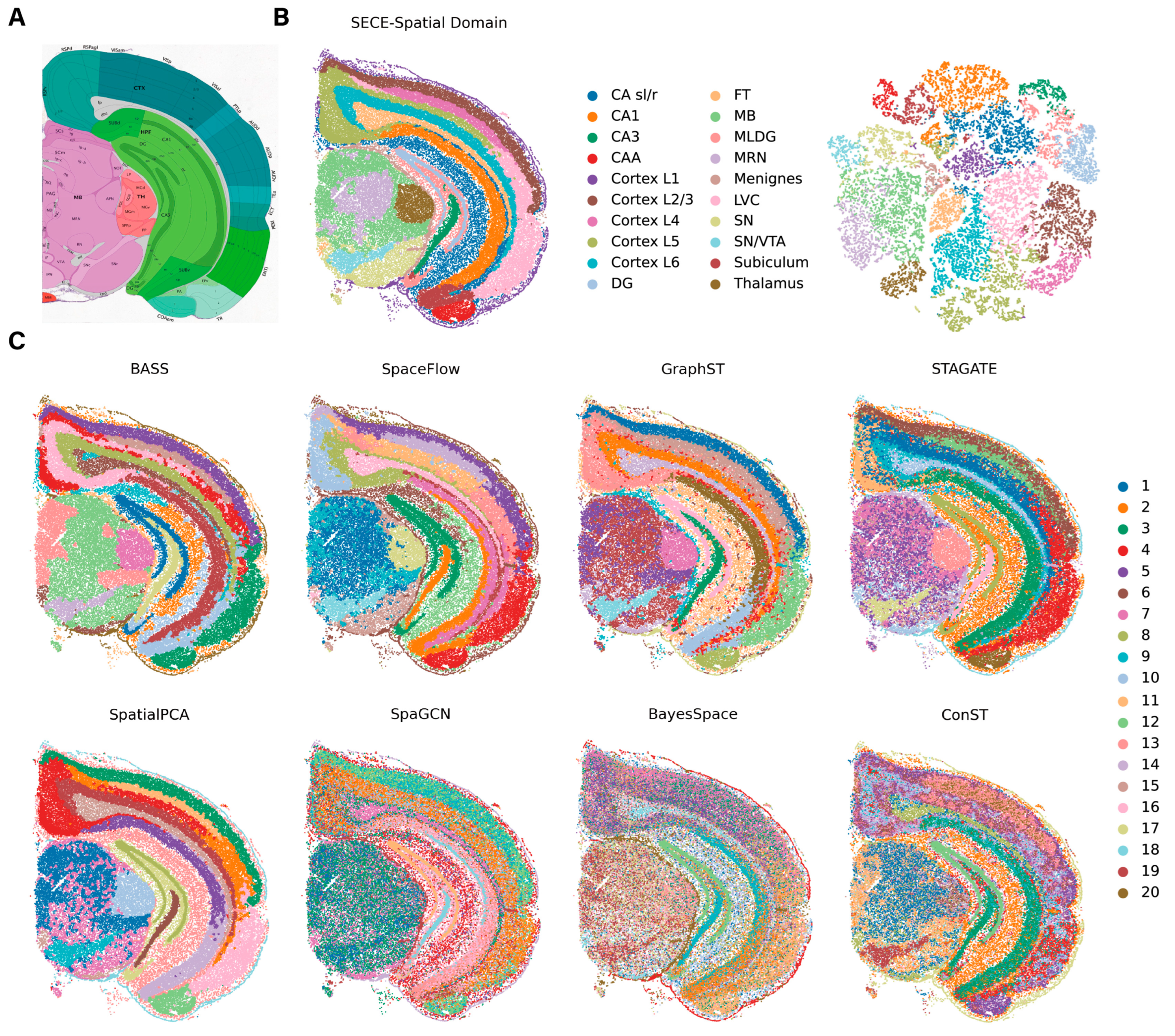 Biomolecules 14 00674 g005