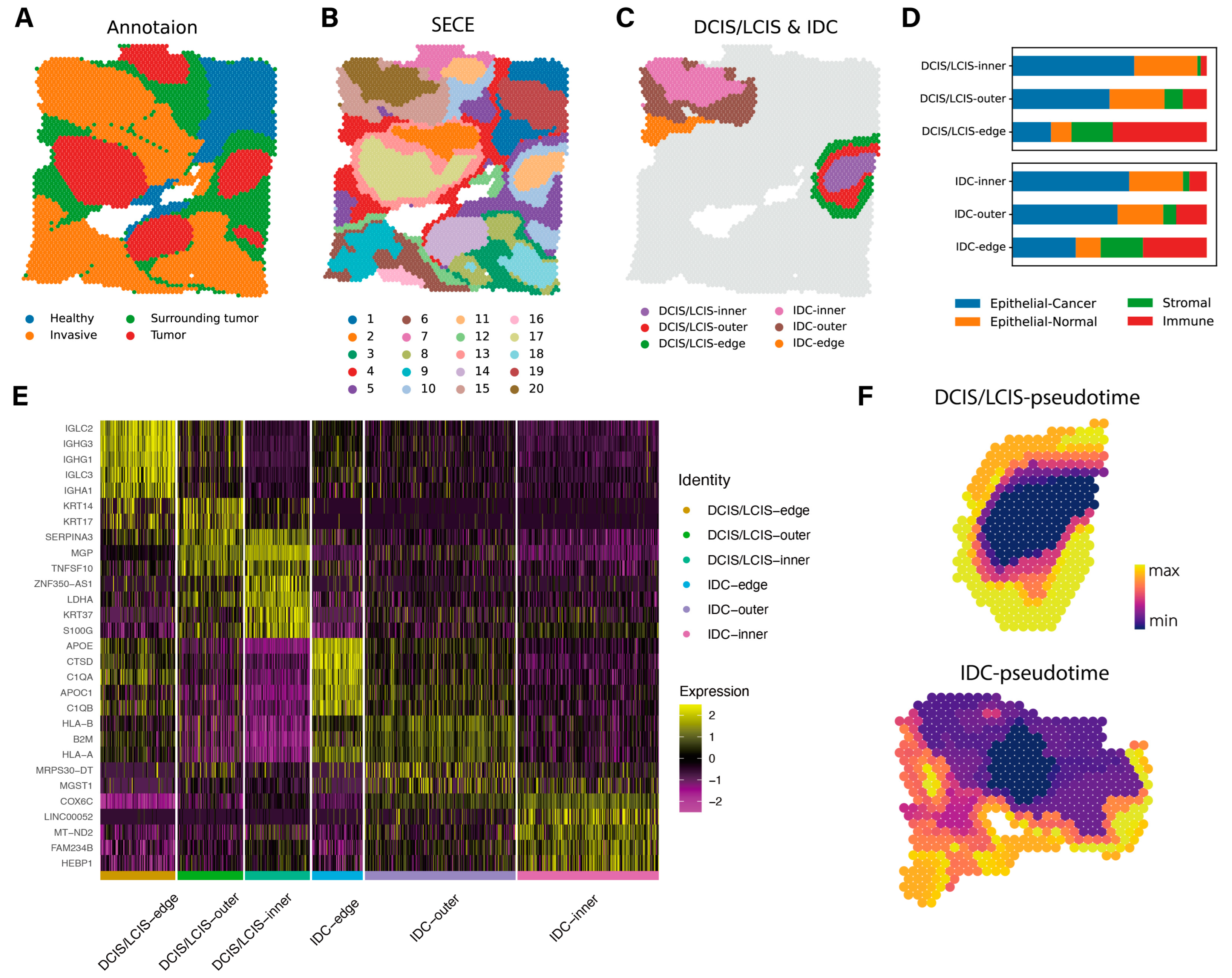 Biomolecules 14 00674 g006