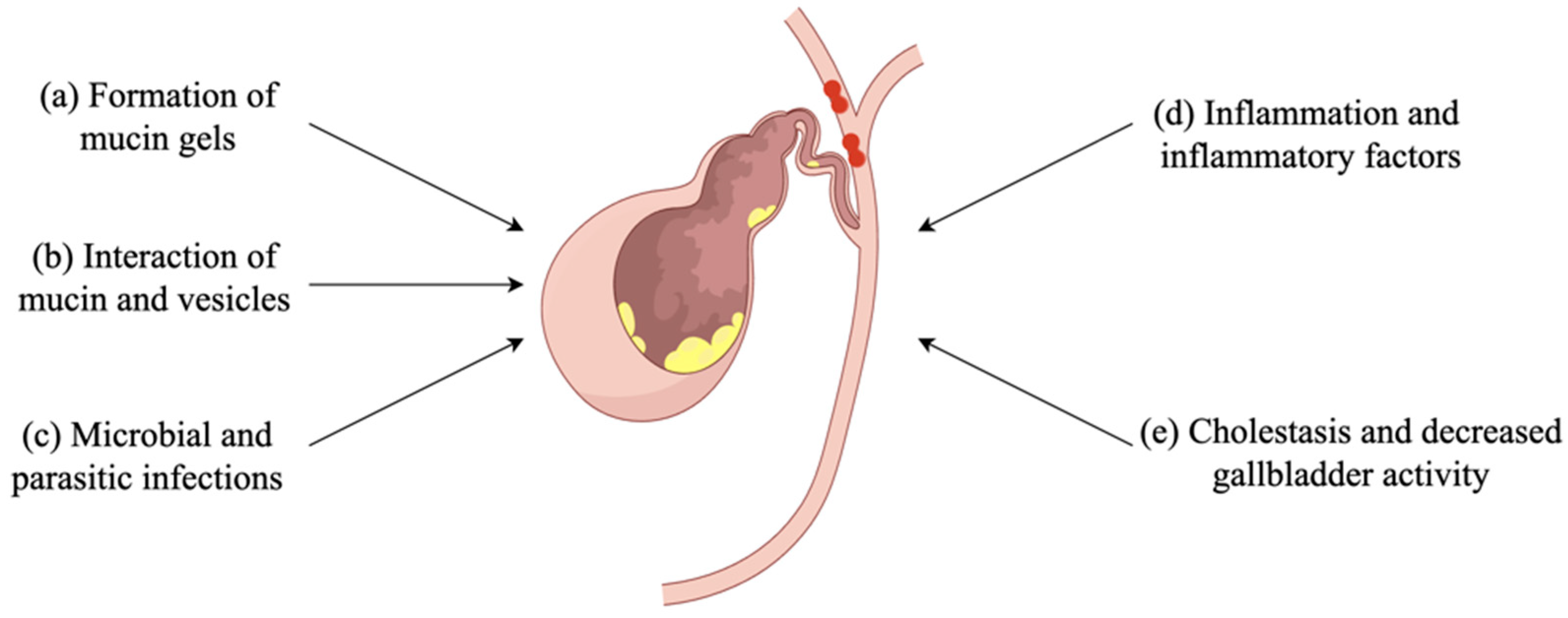 Biomolecules 14 00676 g001