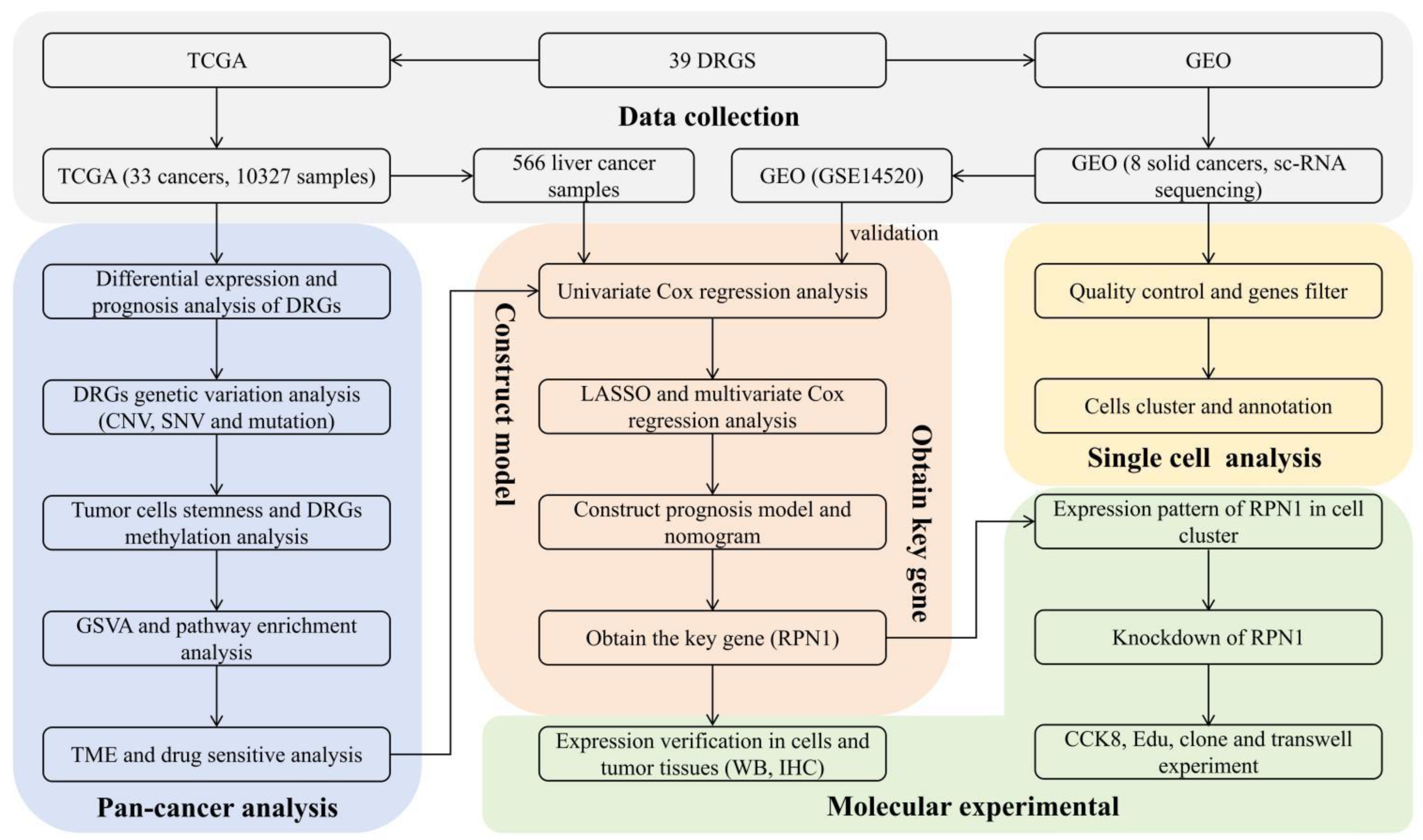 Biomolecules 14 00677 g001