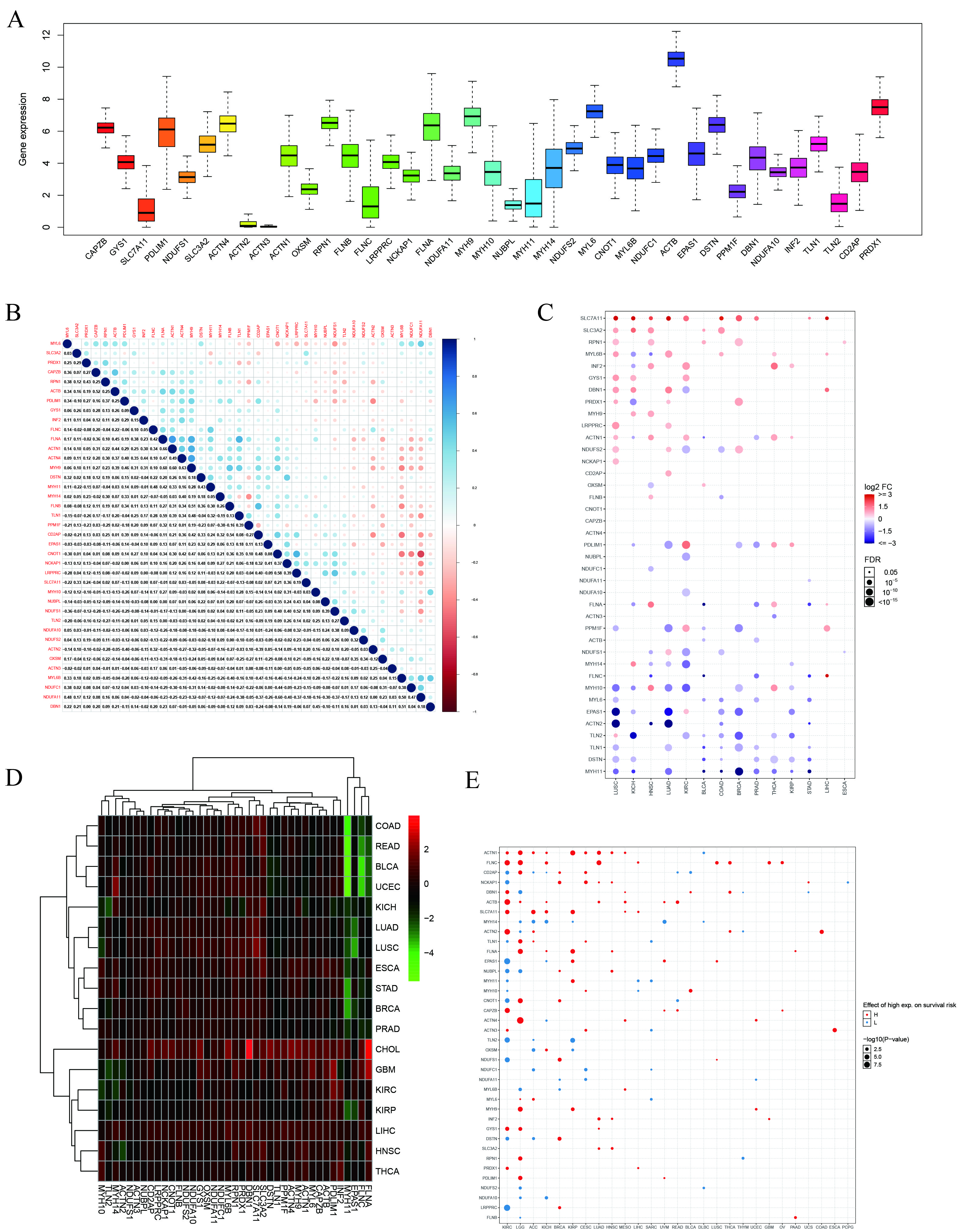 Biomolecules 14 00677 g002