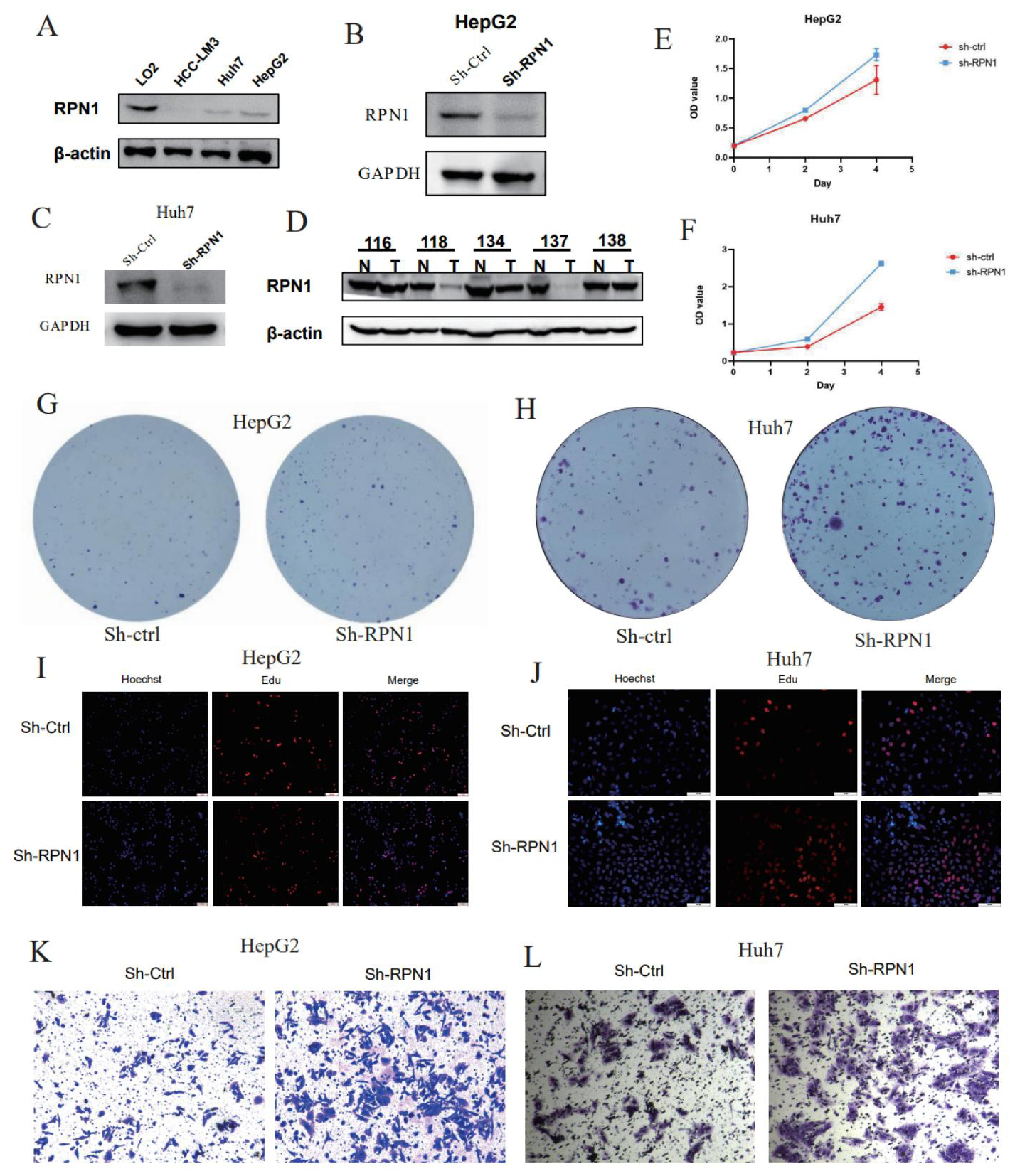 Biomolecules 14 00677 g008