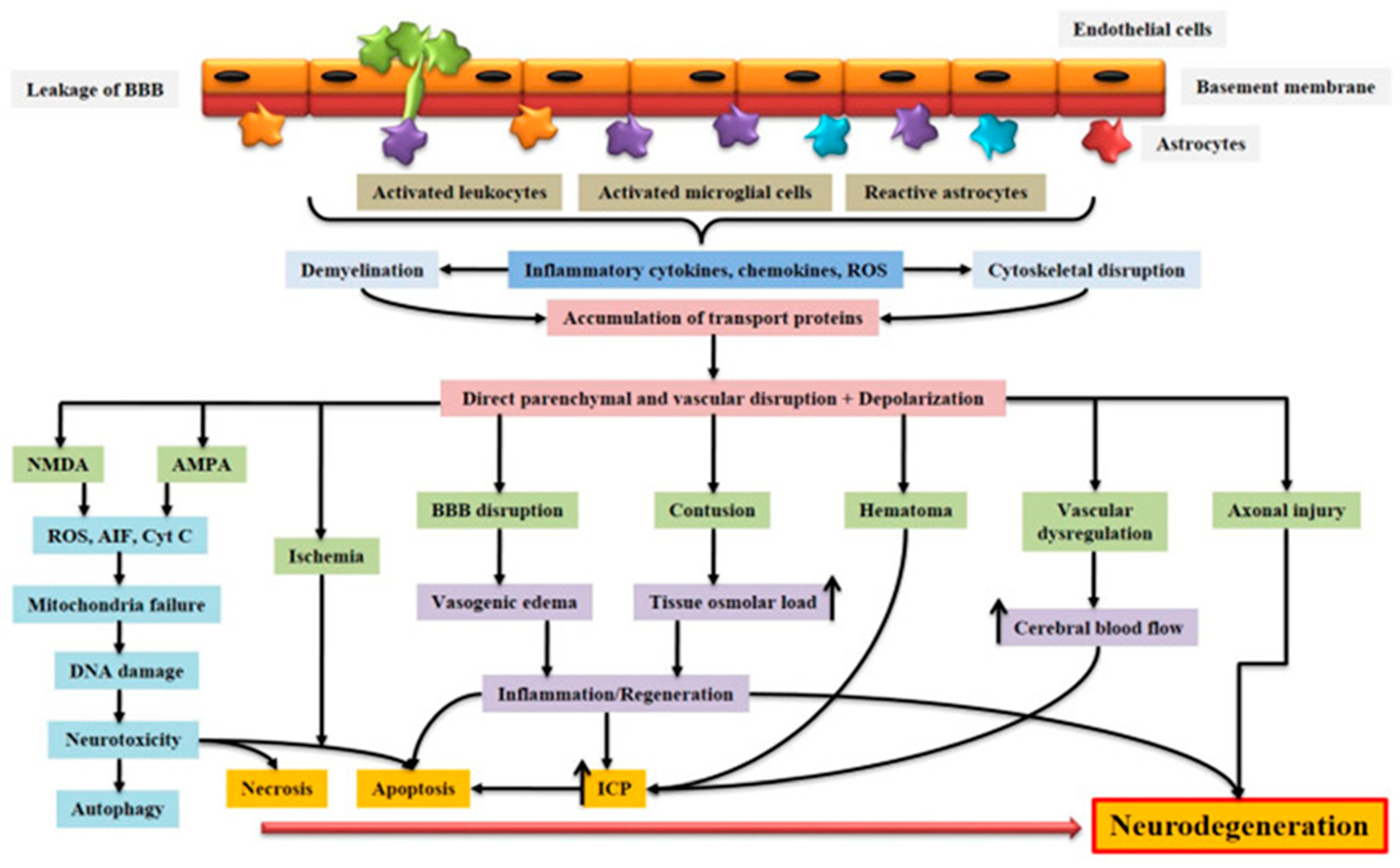 Biomolecules 14 00680 g001