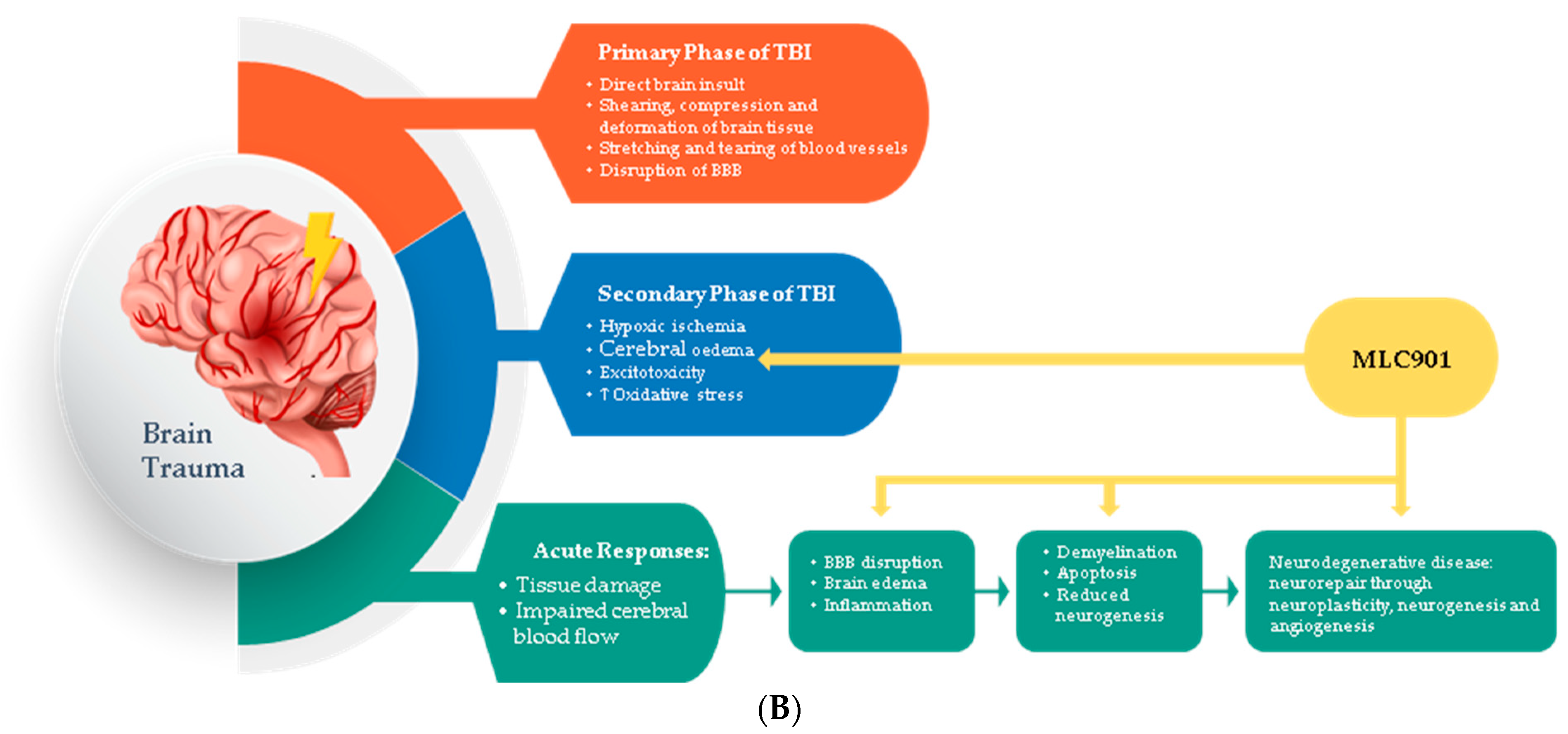 Biomolecules 14 00680 g003b