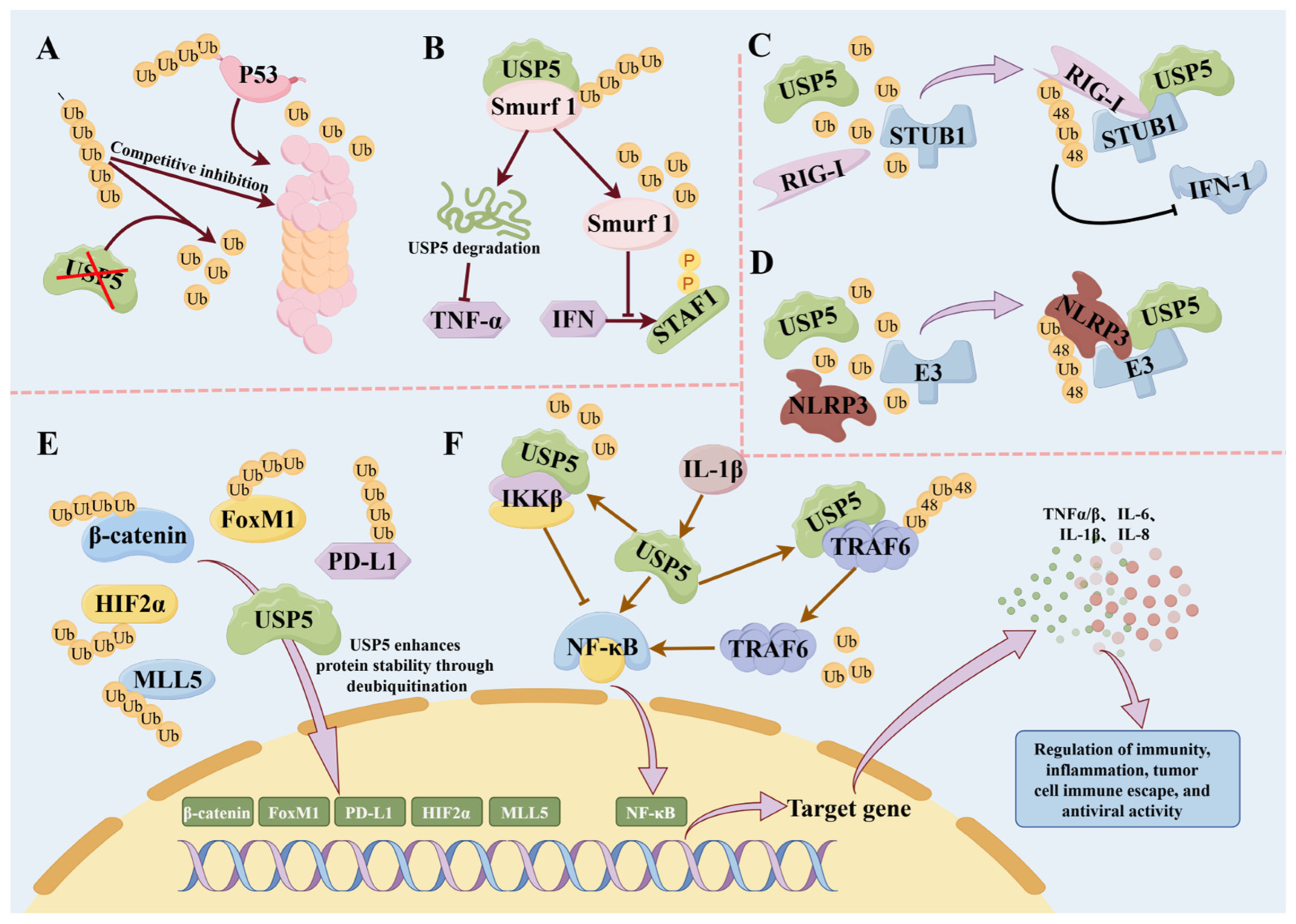 Biomolecules 14 00683 g002