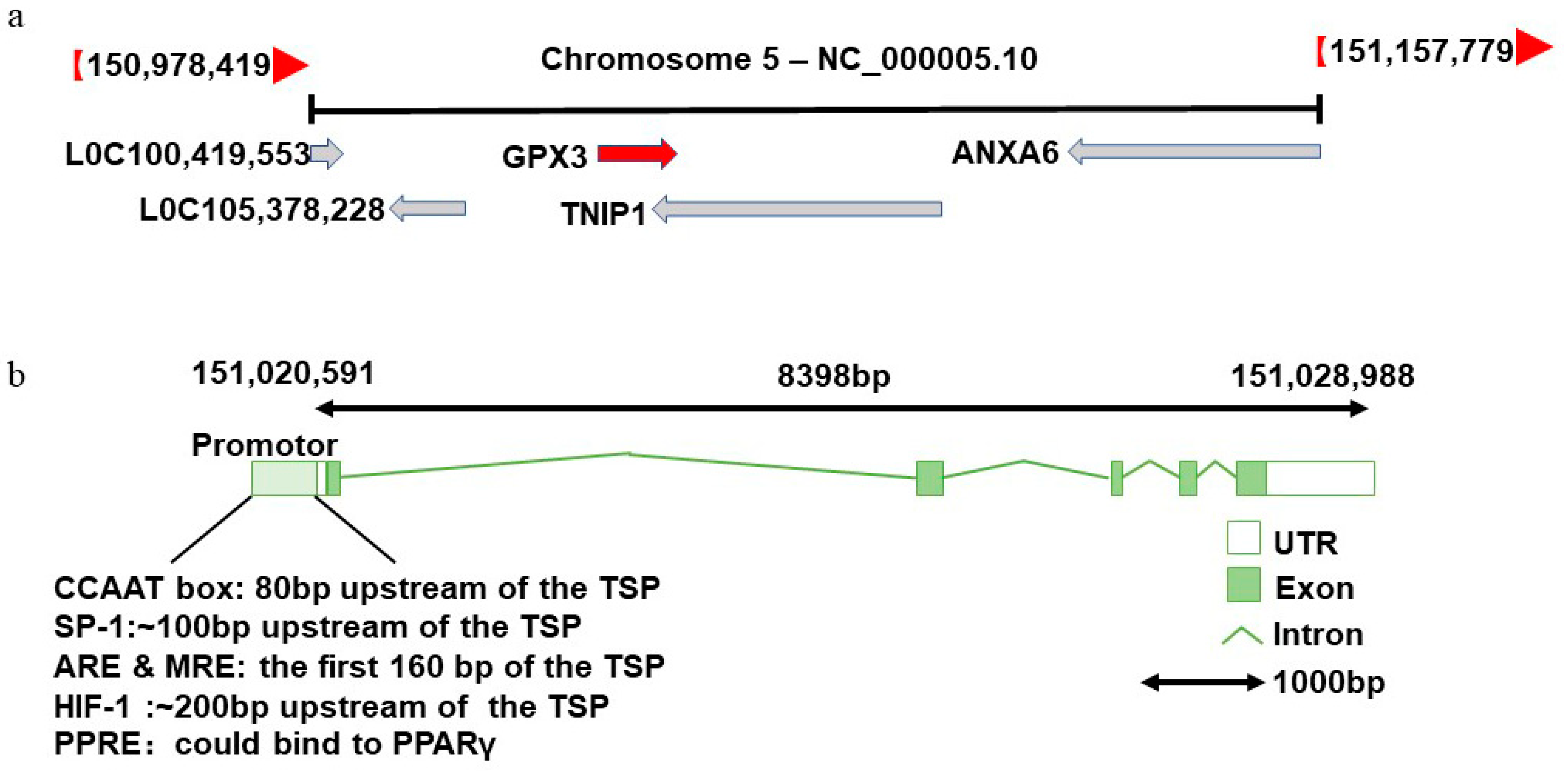 Biomolecules 14 00689 g002