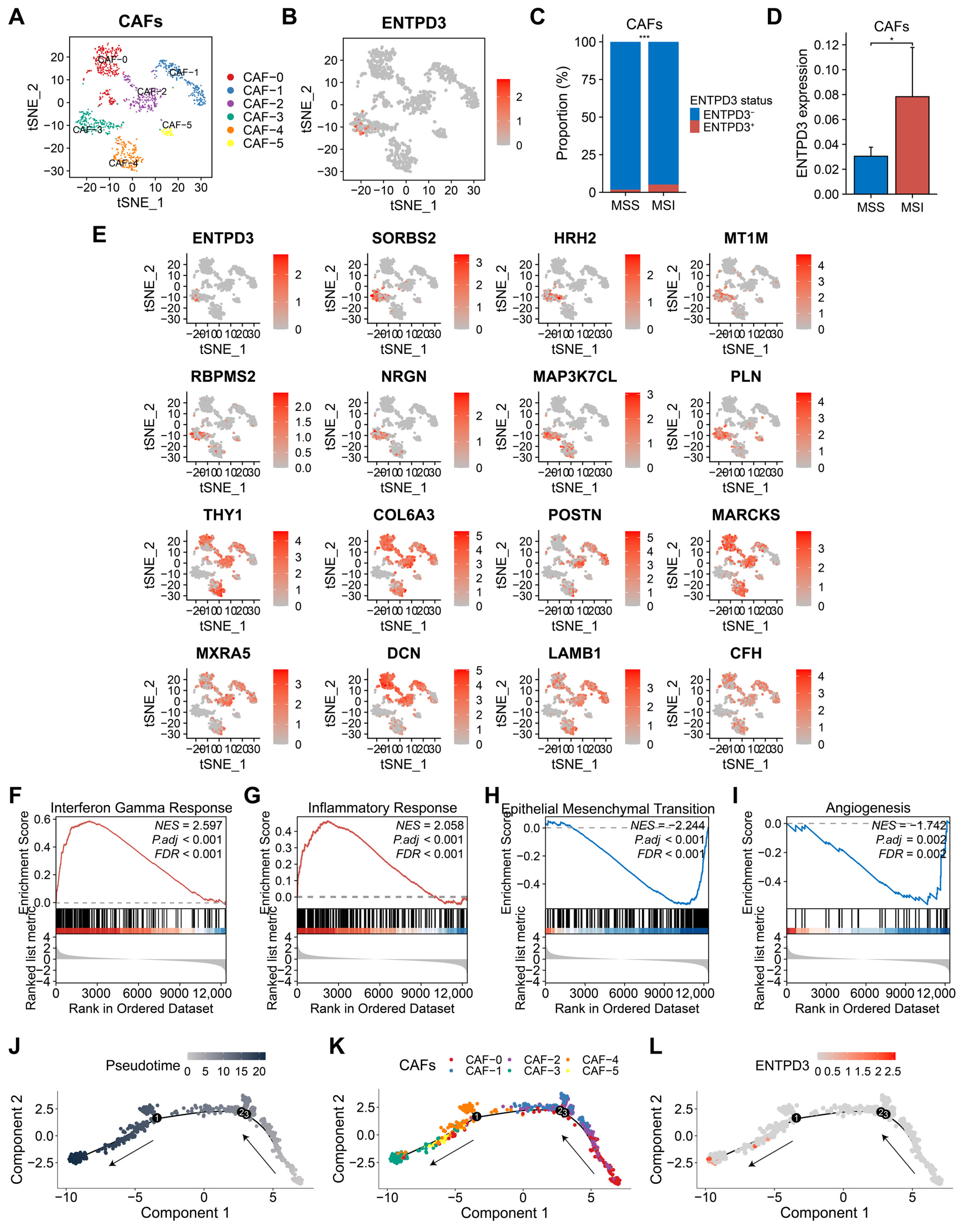 Biomolecules 14 00693 g007