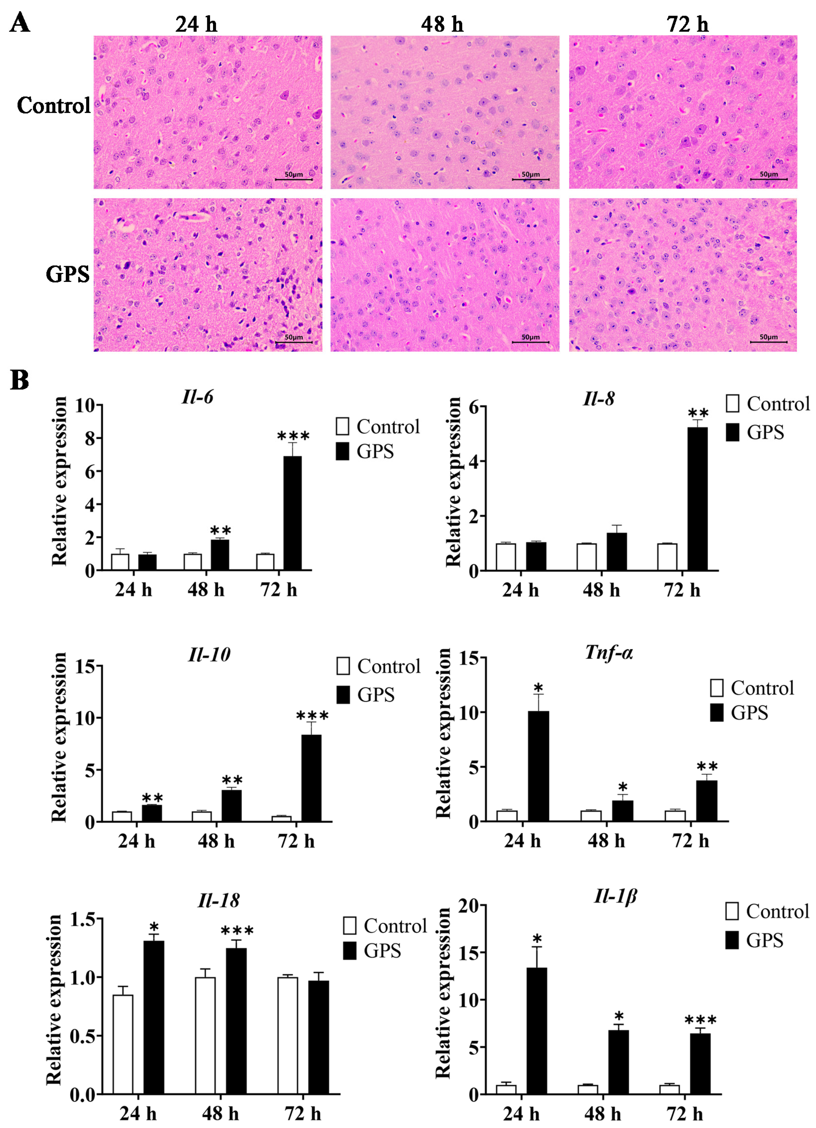 Biomolecules 14 00696 g001