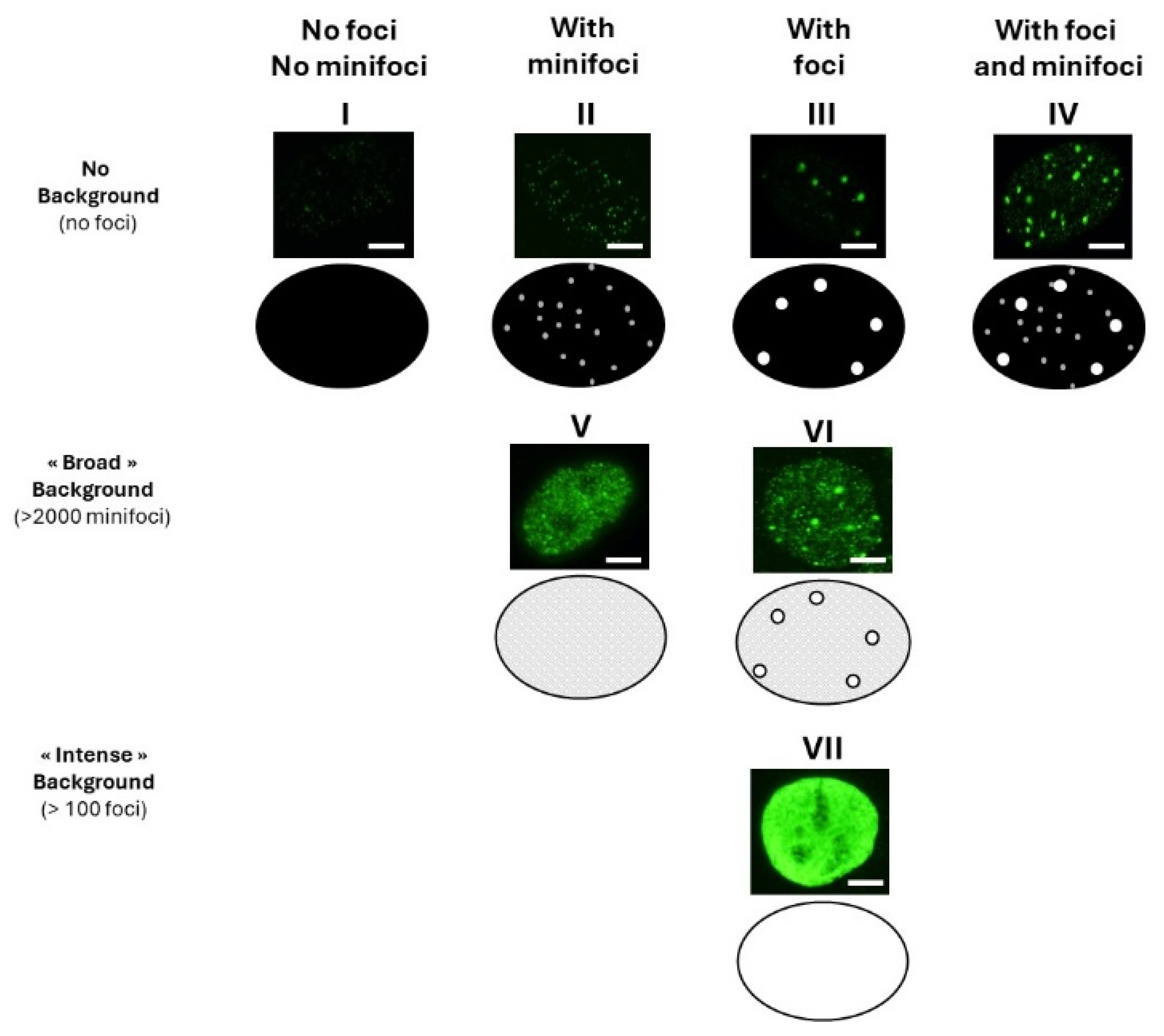 Biomolecules 14 00703 g001