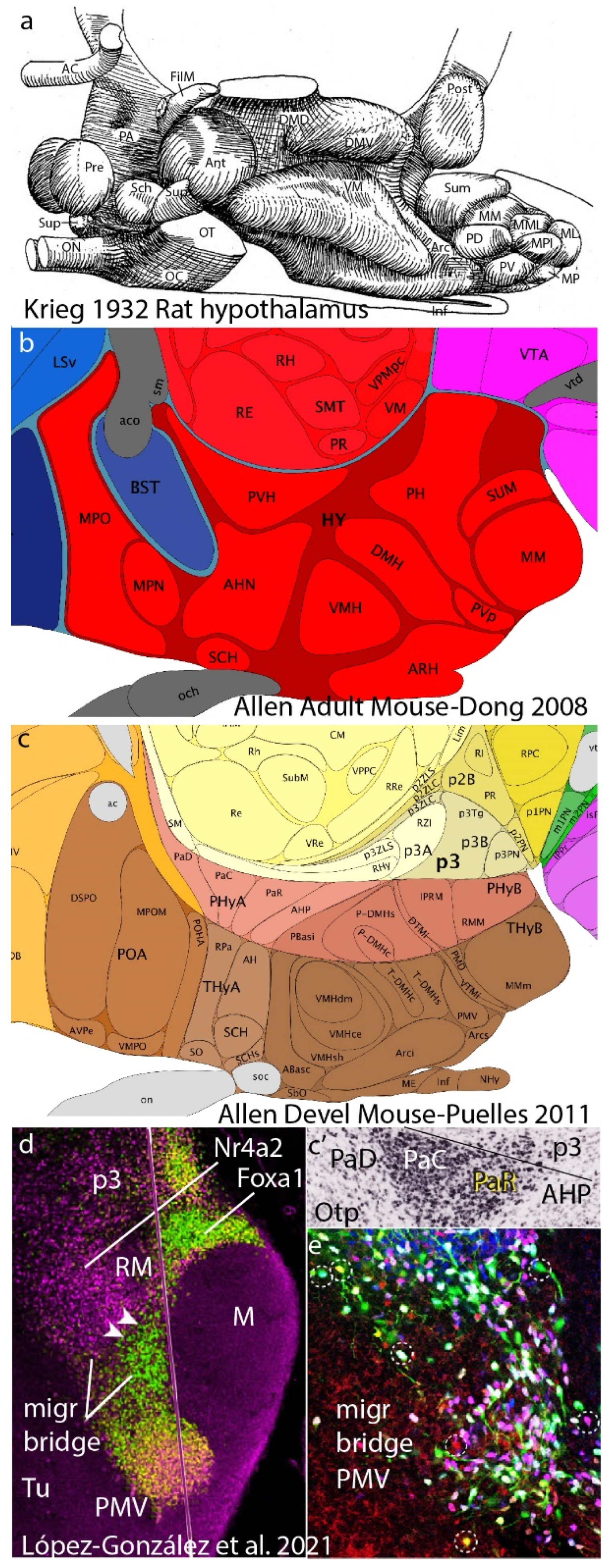 Biomolecules 14 00708 g007