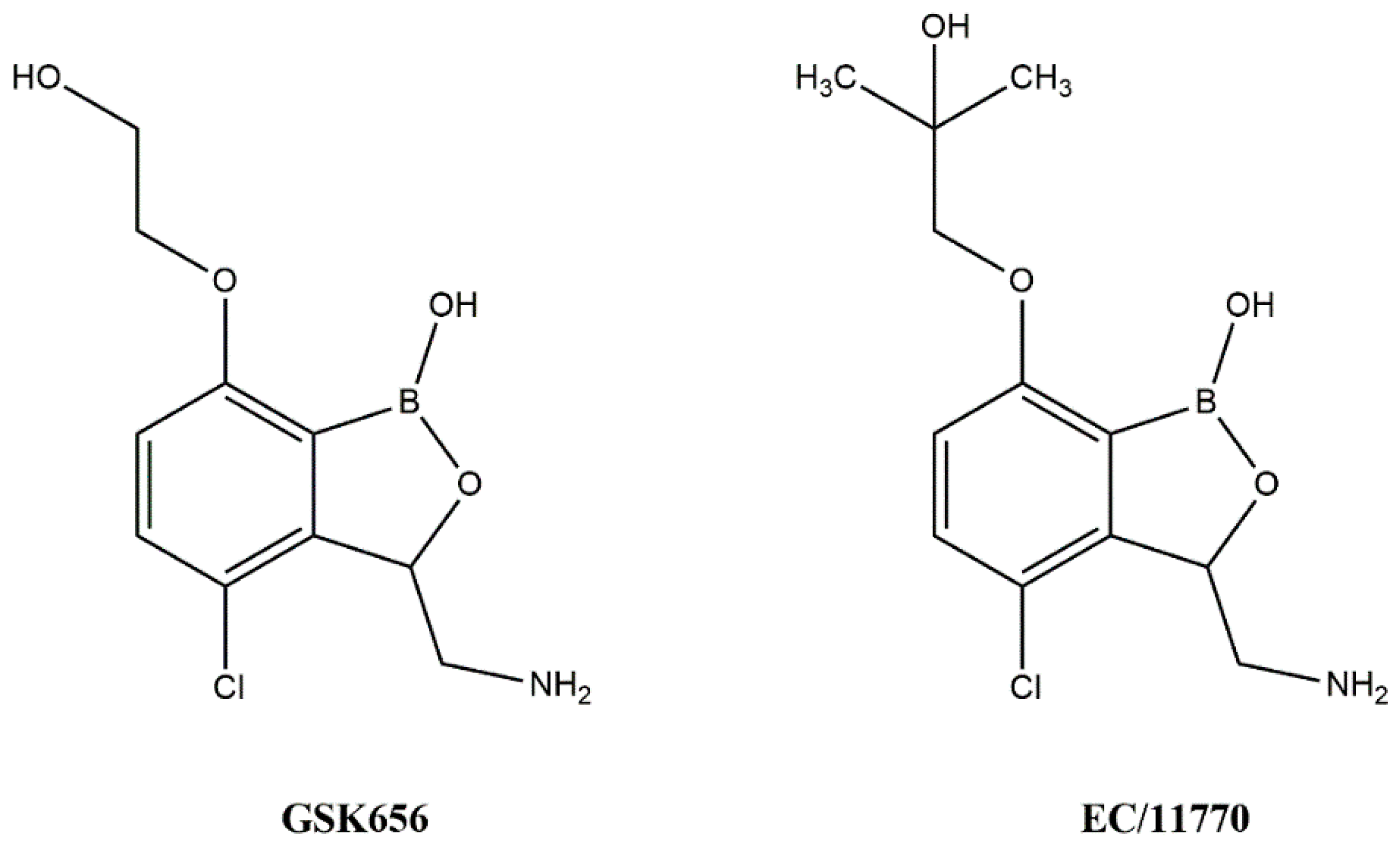 Biomolecules 14 00711 g001 Biomolecules 14 00711 g001