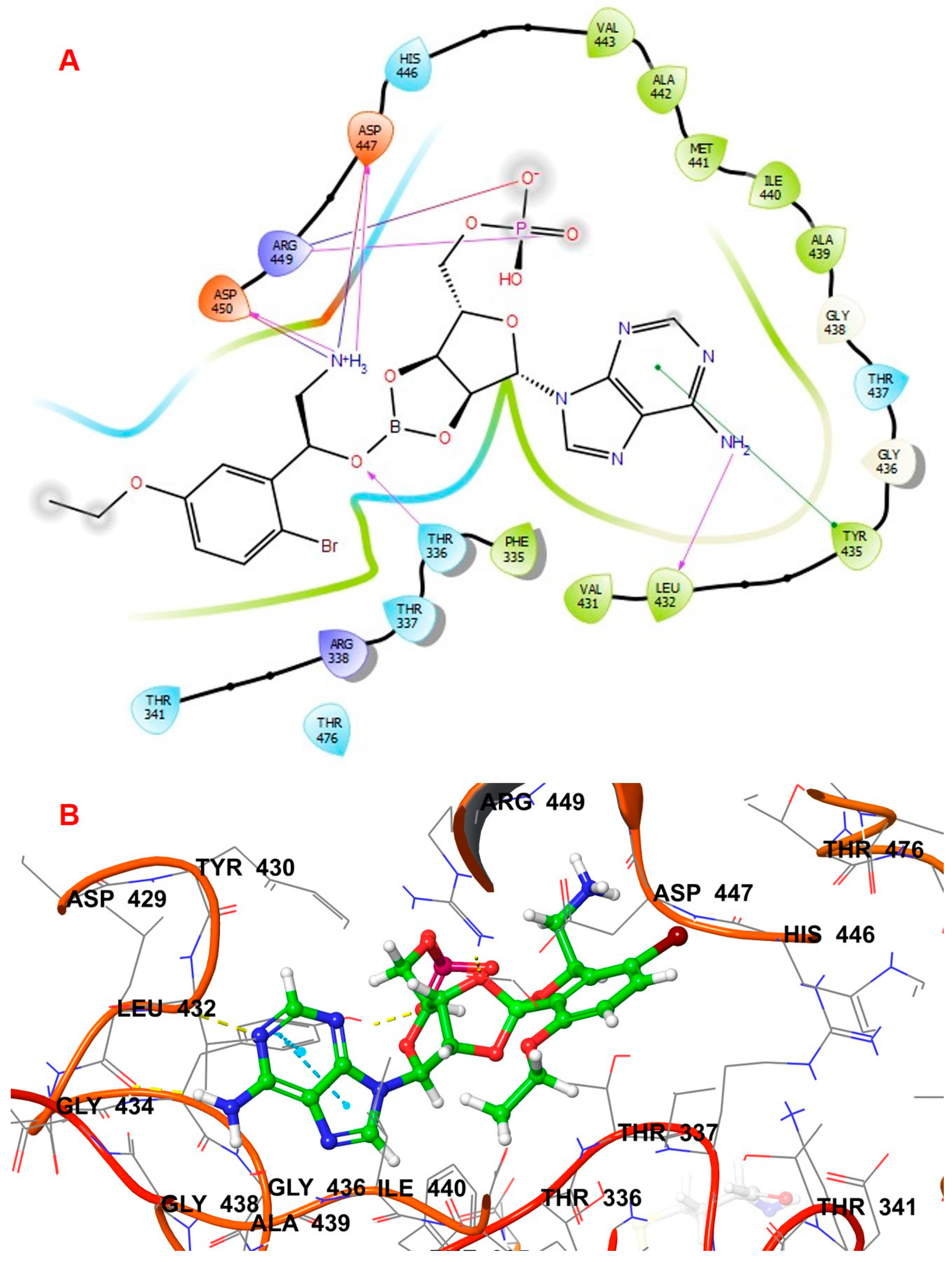 Biomolecules 14 00711 g003 Biomolecules 14 00711 g003