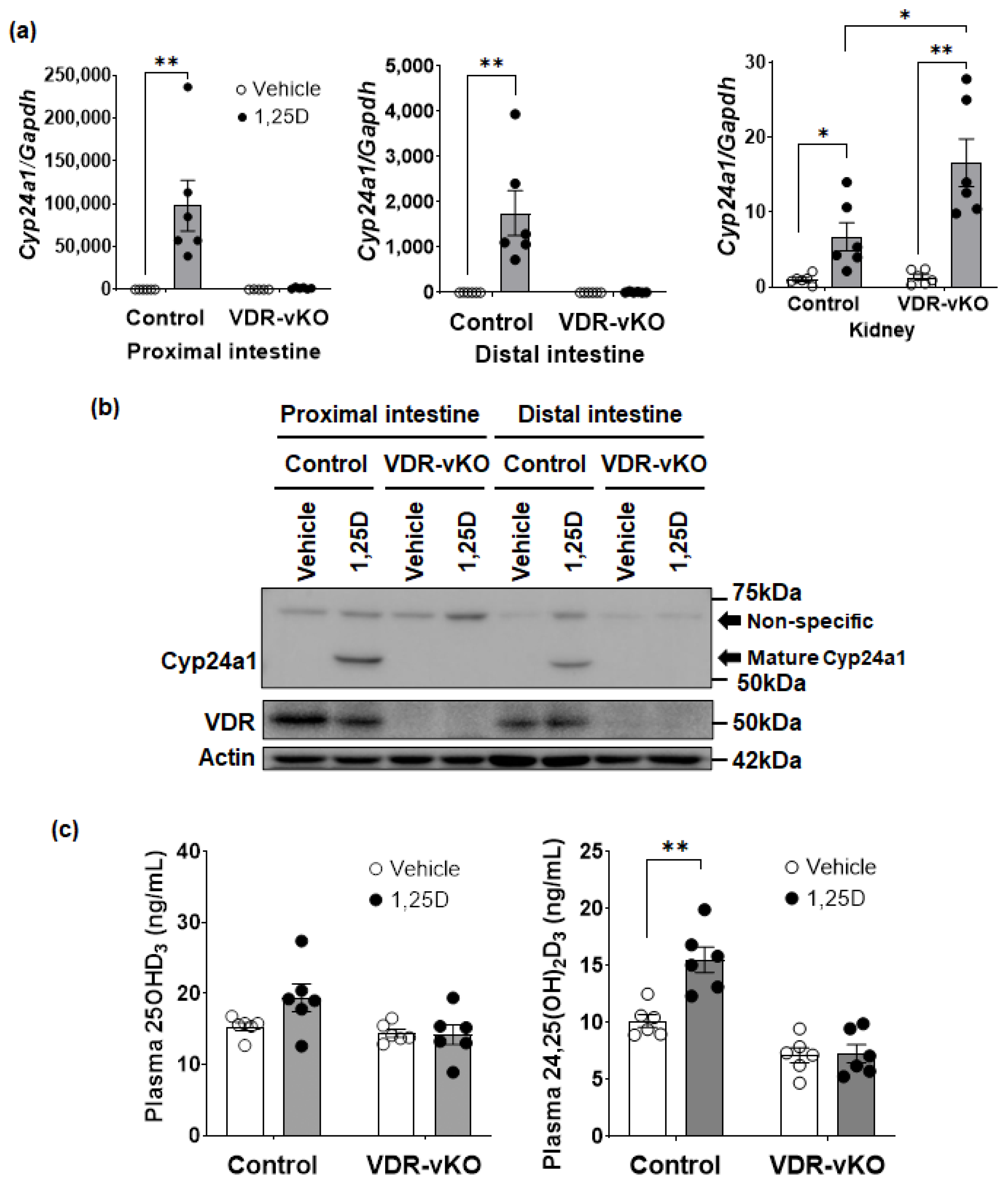 Biomolecules 14 00717 g005