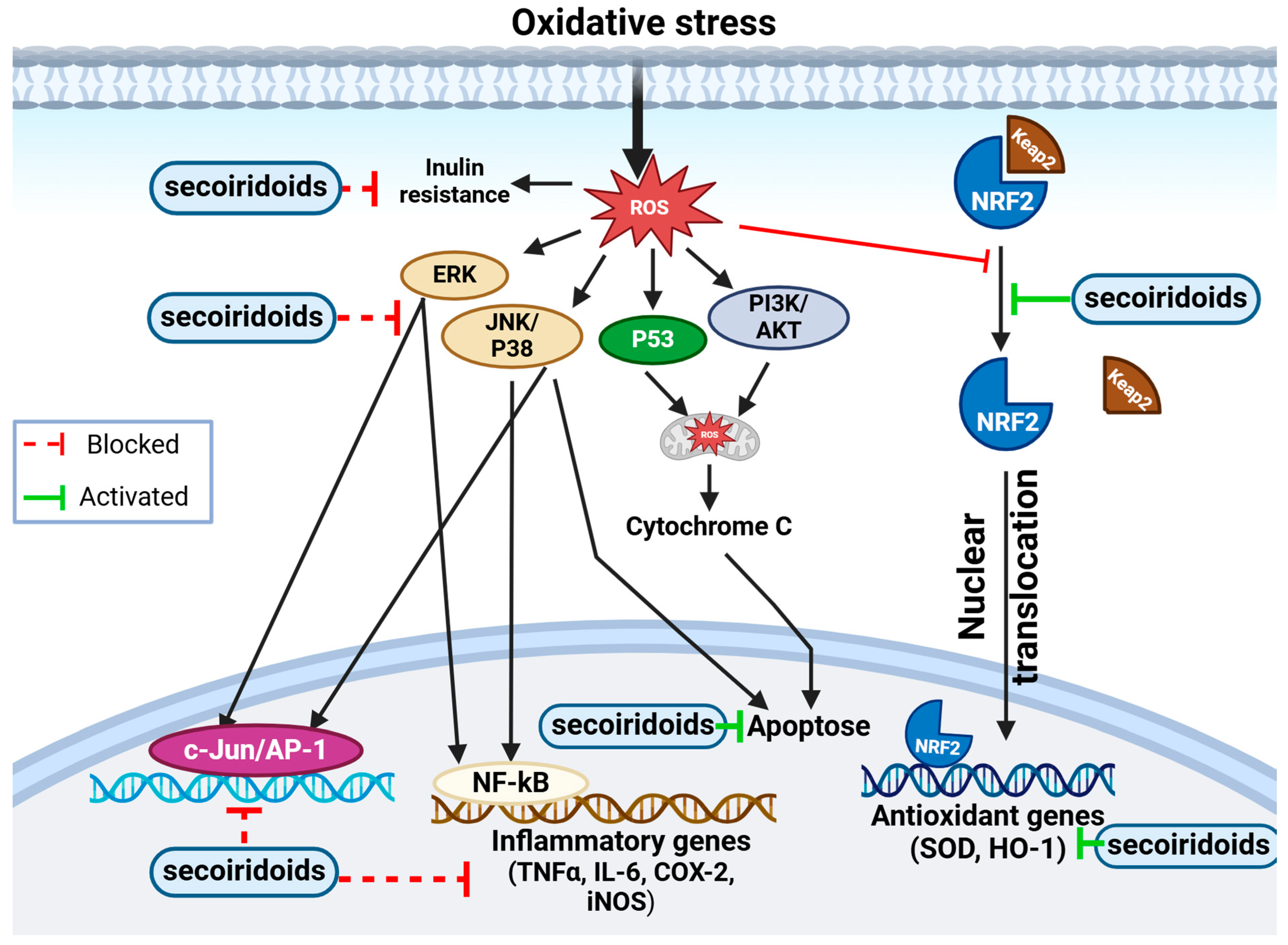 Biomolecules 14 00722 g007 Biomolecules 14 00722 g007