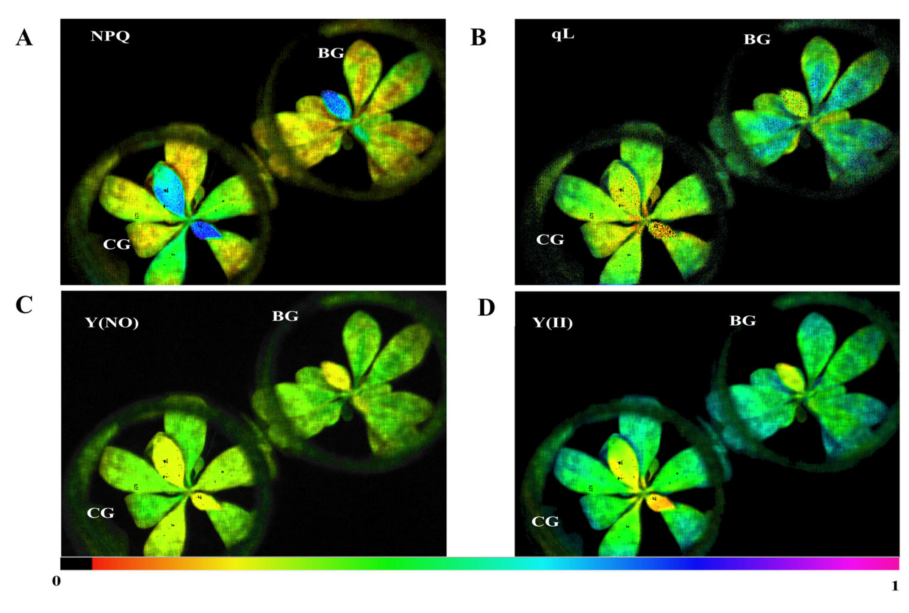 Biomolecules 14 00732 g001