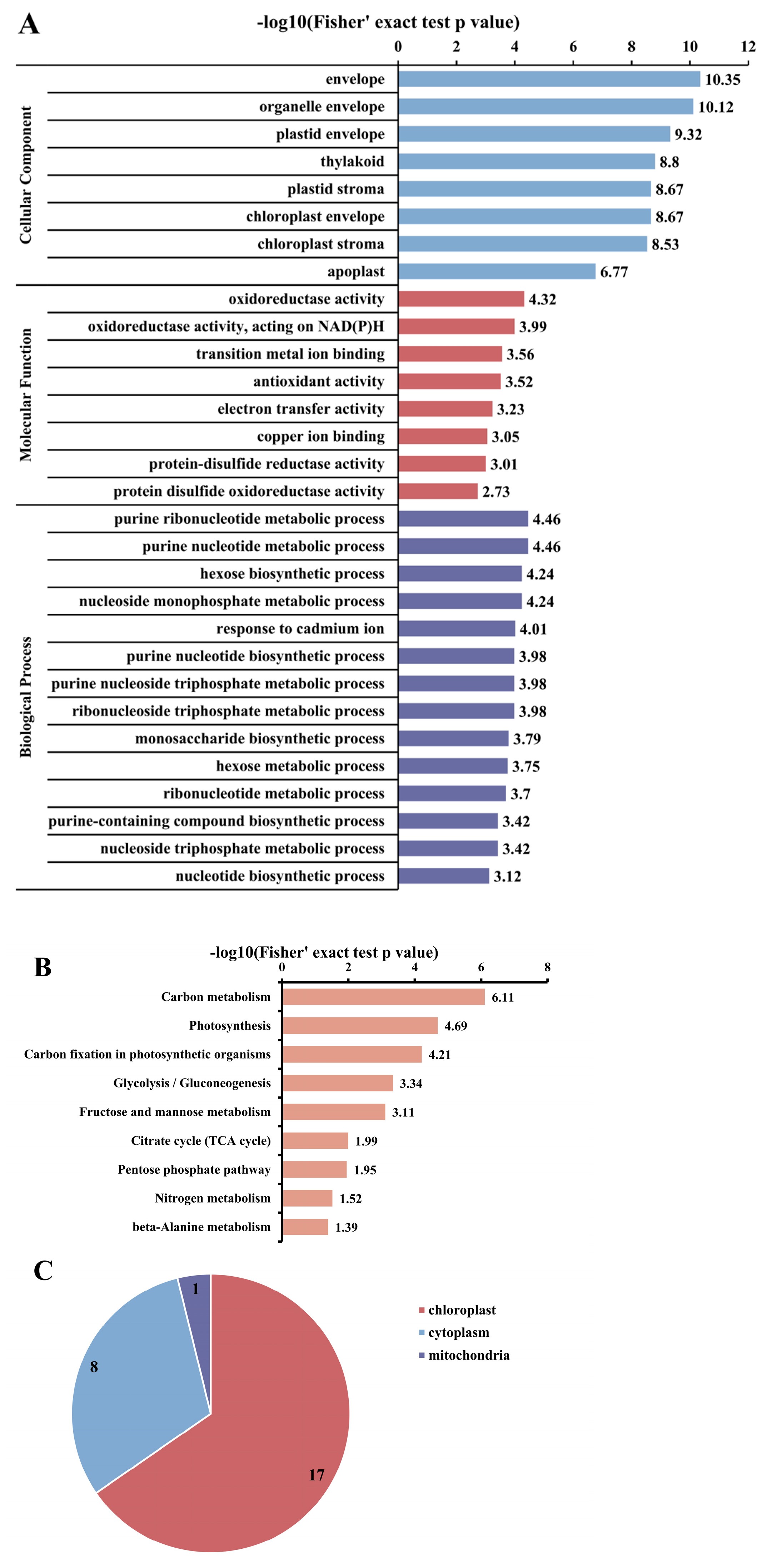 Biomolecules 14 00732 g004