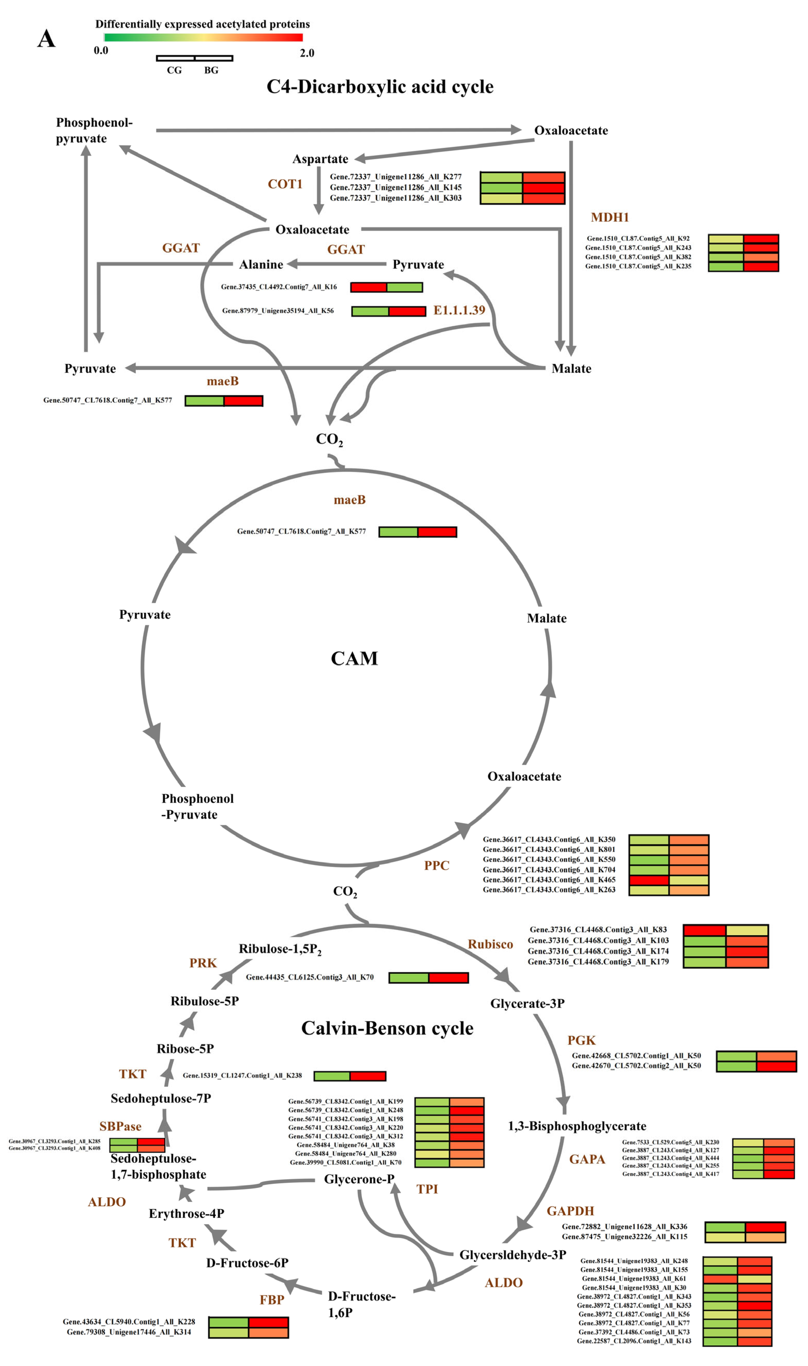 Biomolecules 14 00732 g005a