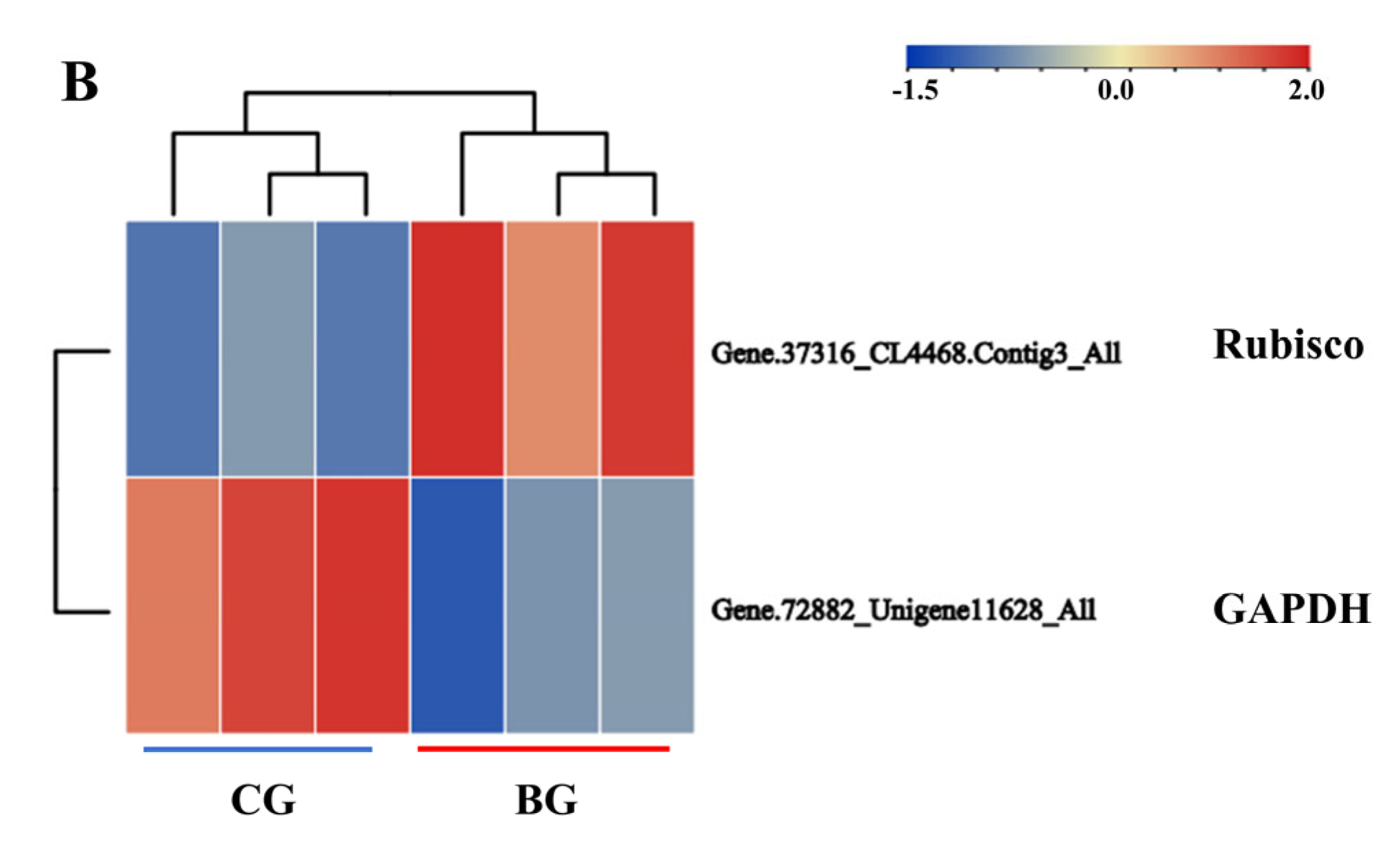 Biomolecules 14 00732 g005b