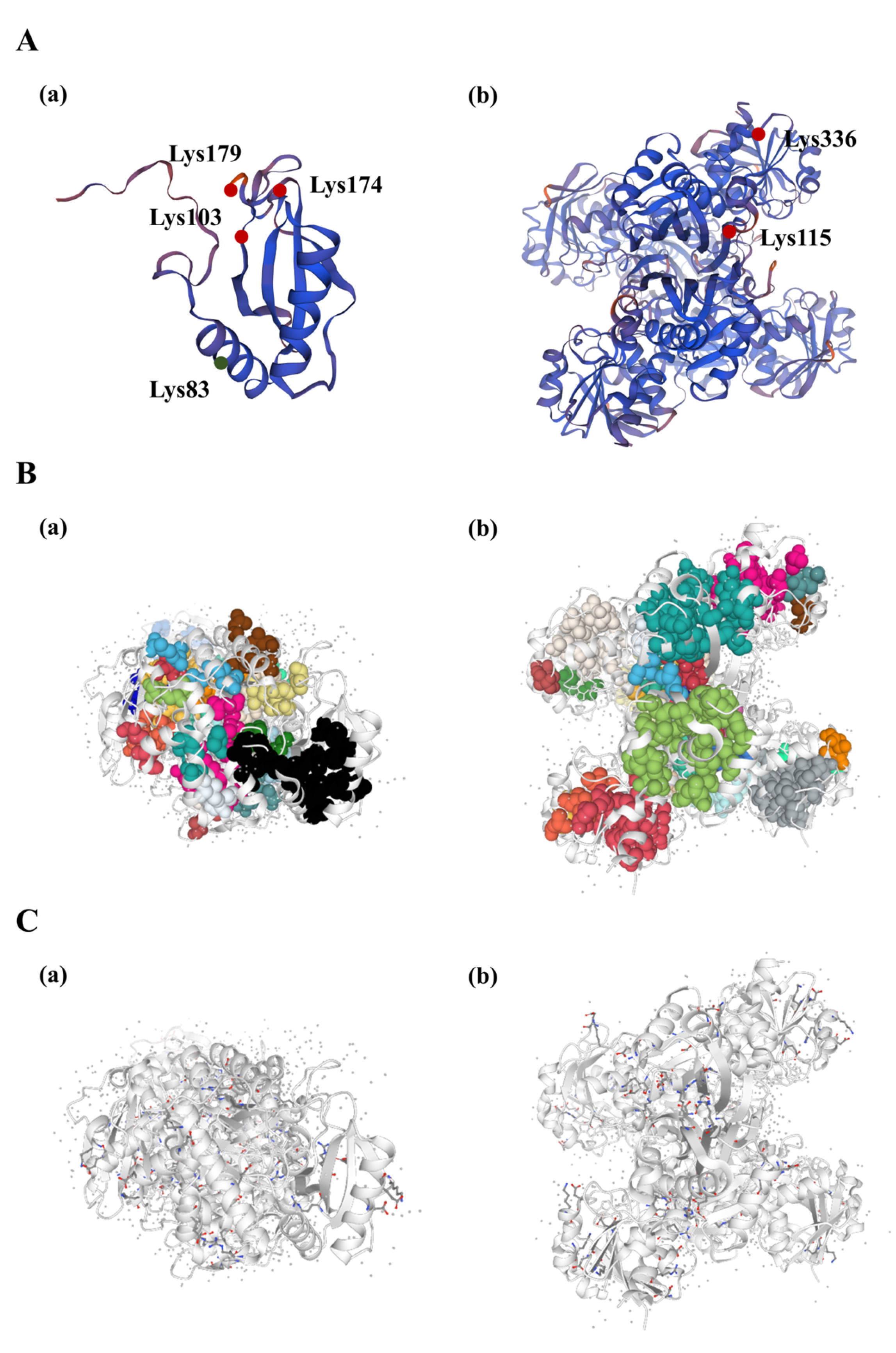 Biomolecules 14 00732 g006