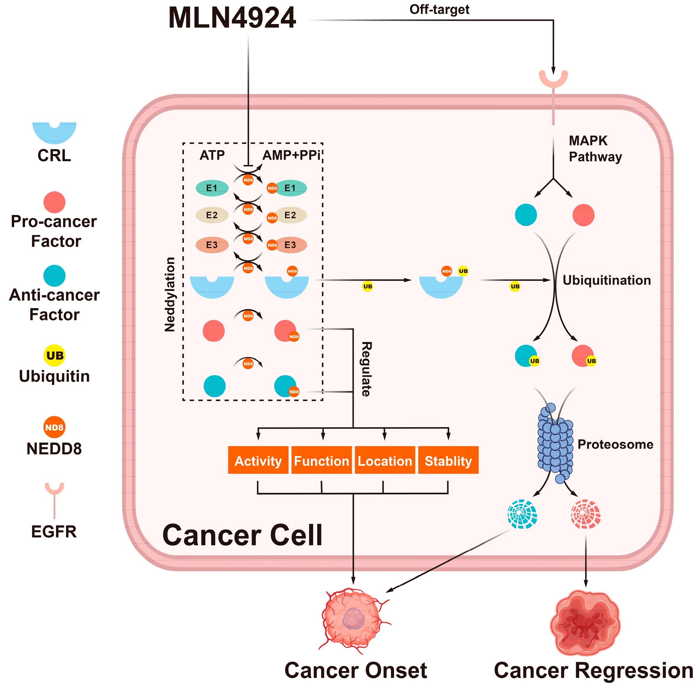 Biomolecules 14 00738 g002