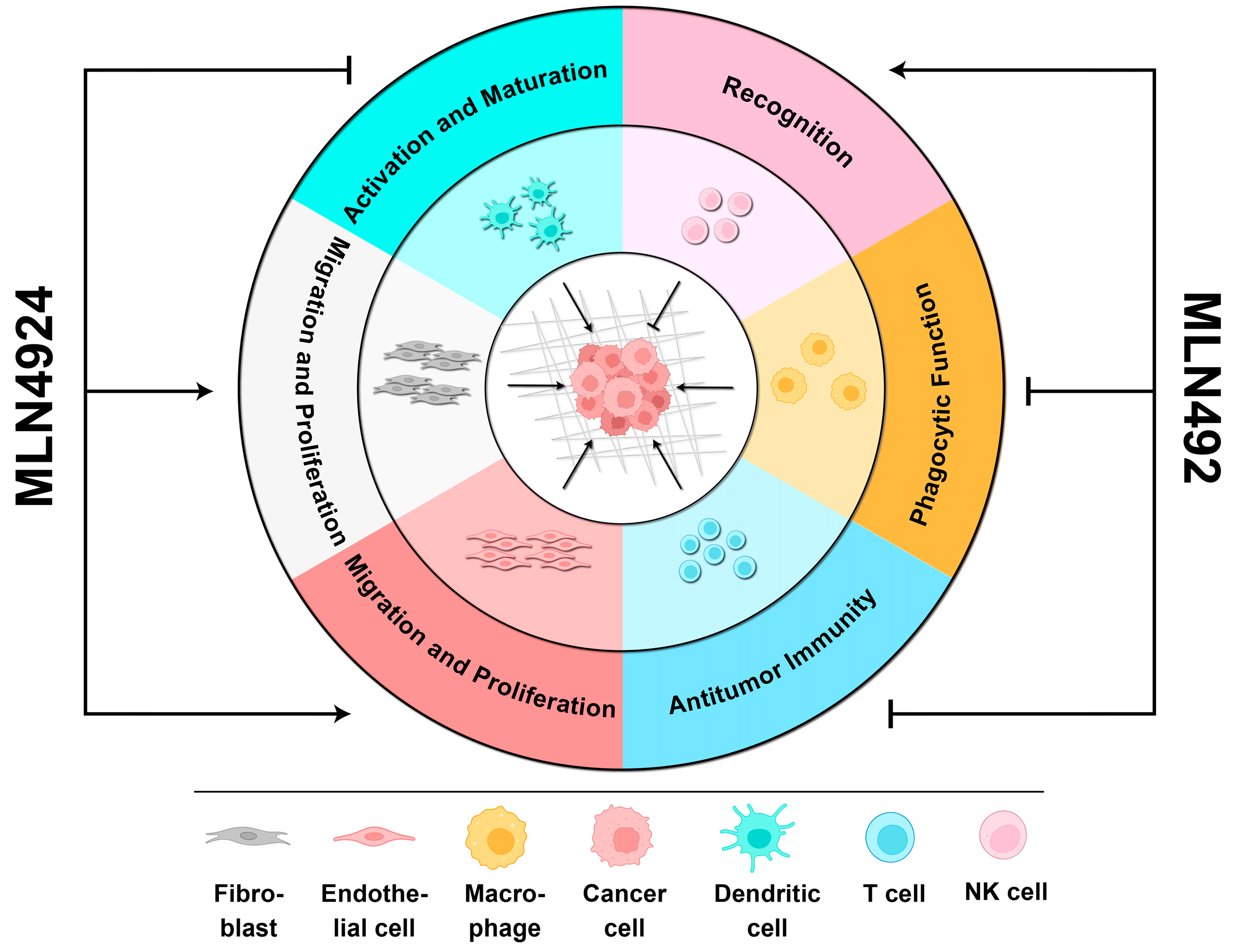 Biomolecules 14 00738 g003