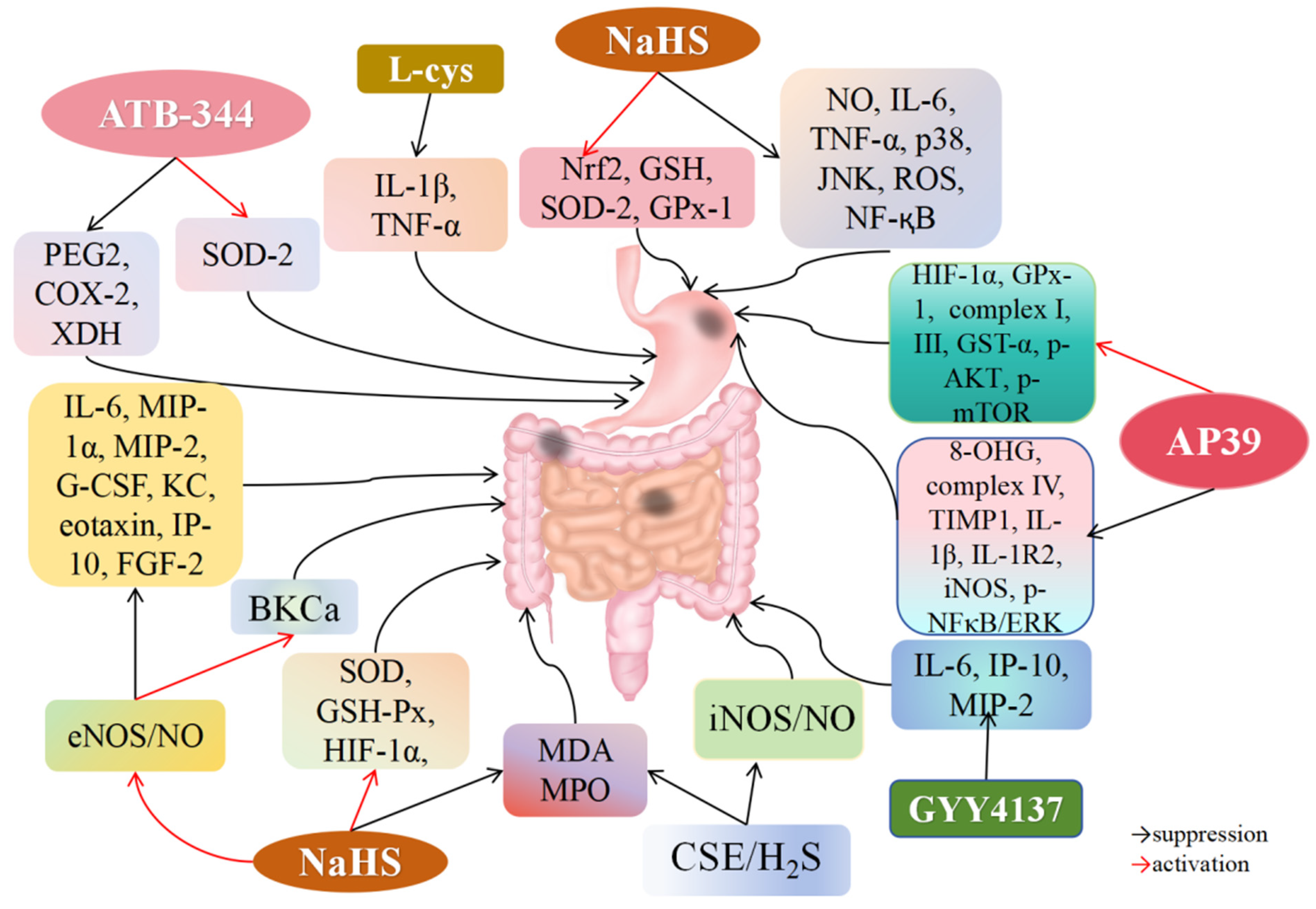 Biomolecules 14 00740 g006