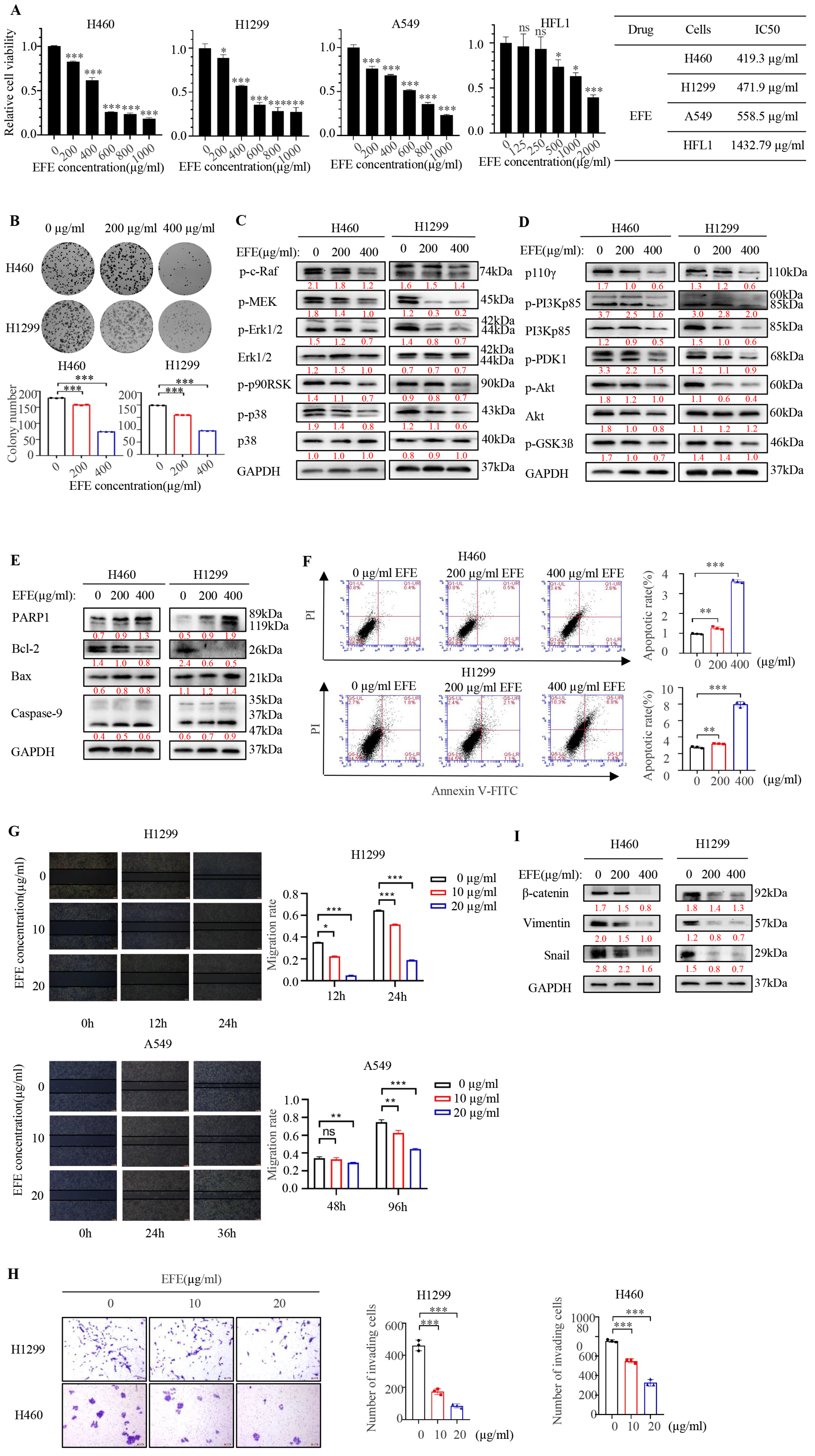 Biomolecules 14 00741 g001