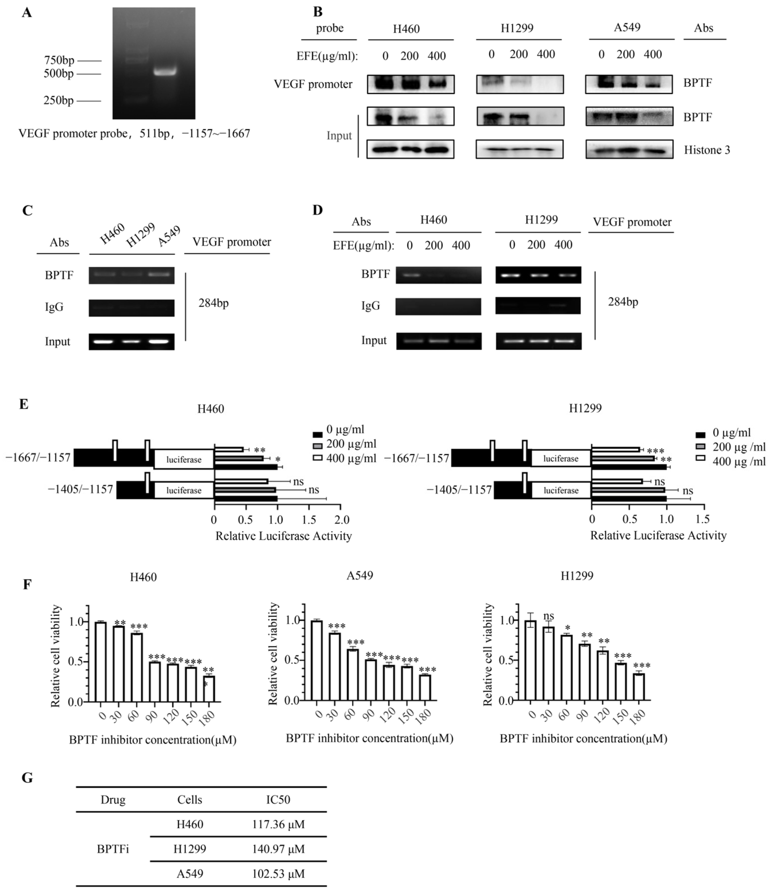Biomolecules 14 00741 g003a