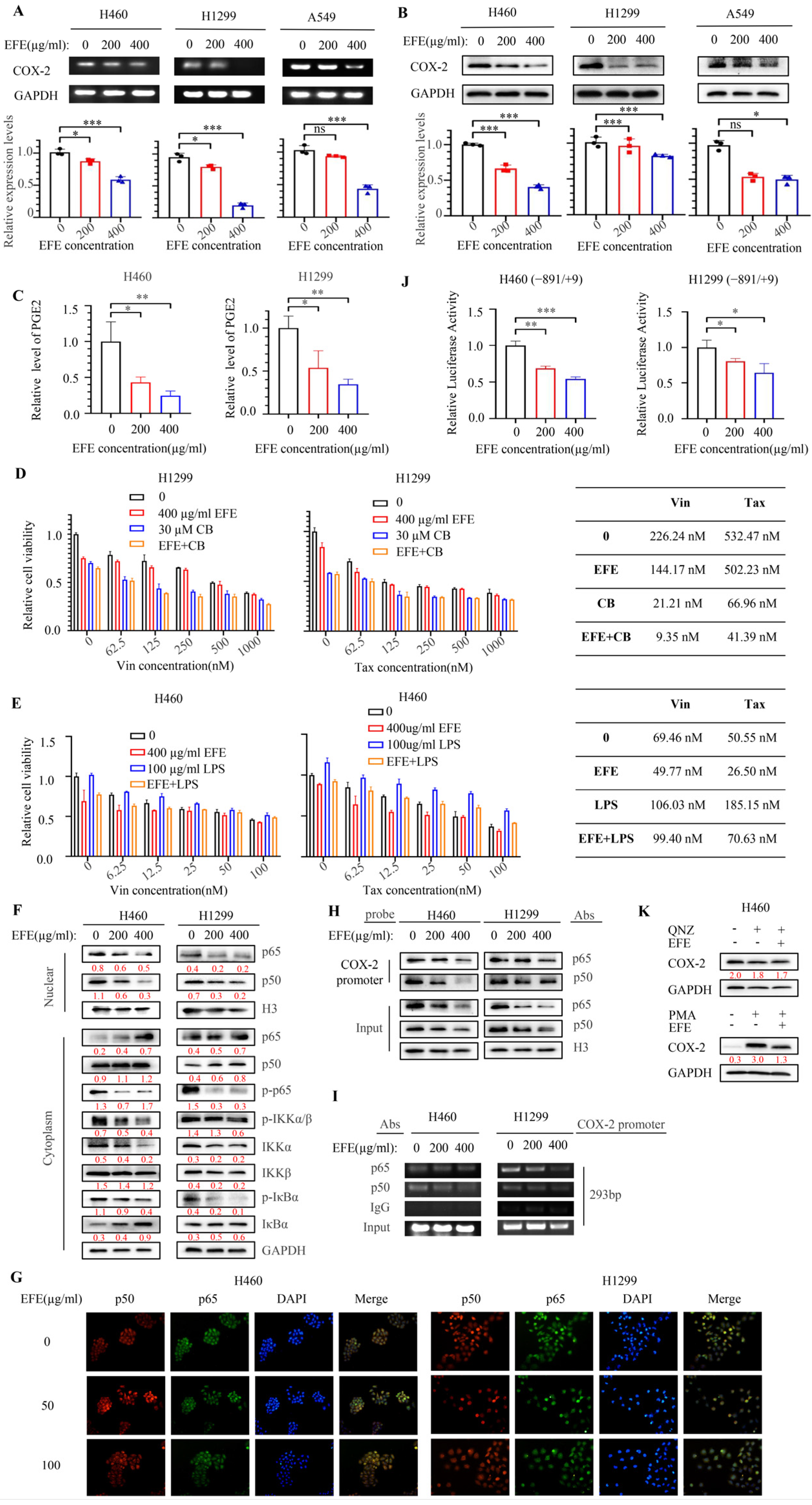 Biomolecules 14 00741 g006