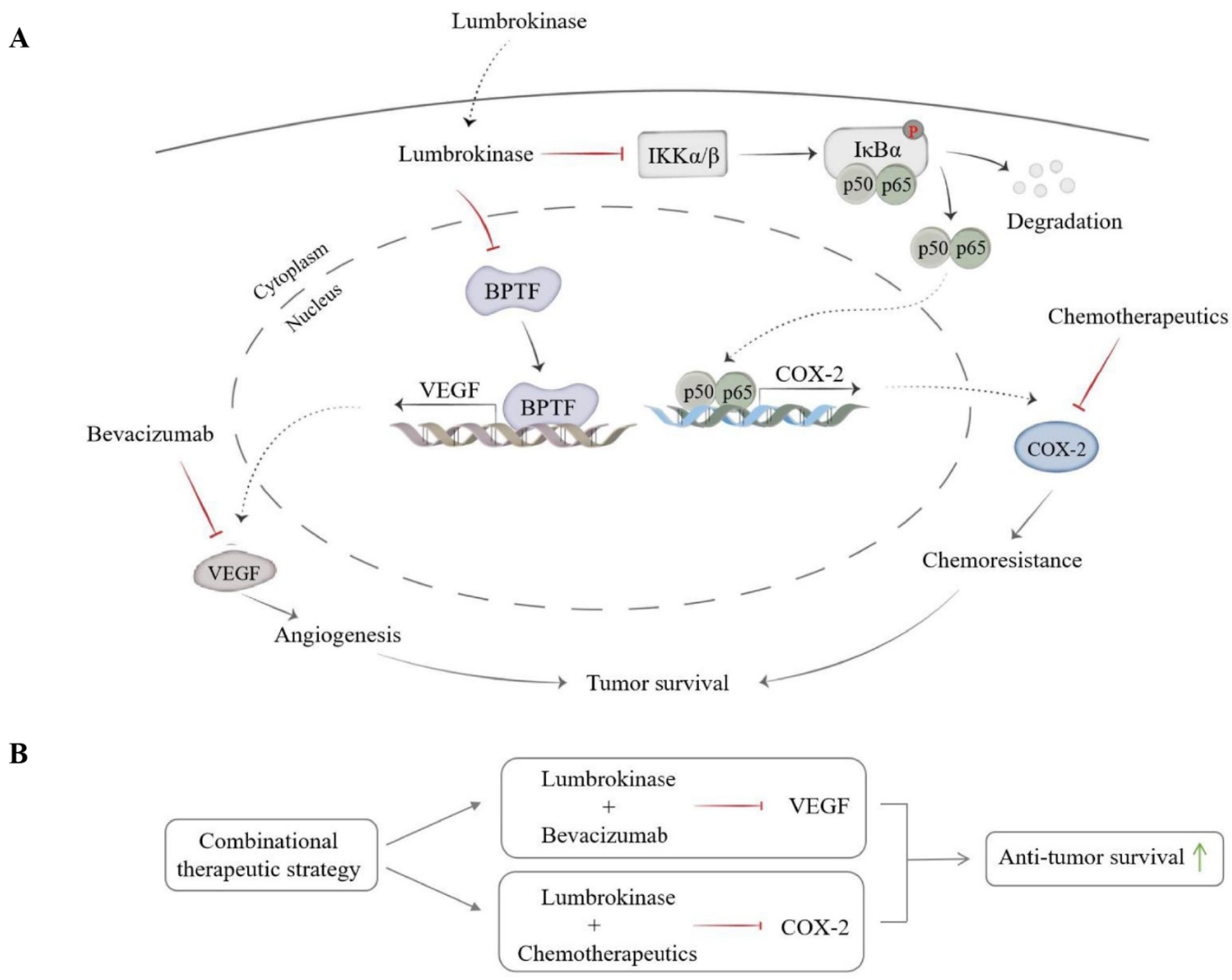 Biomolecules 14 00741 g008
