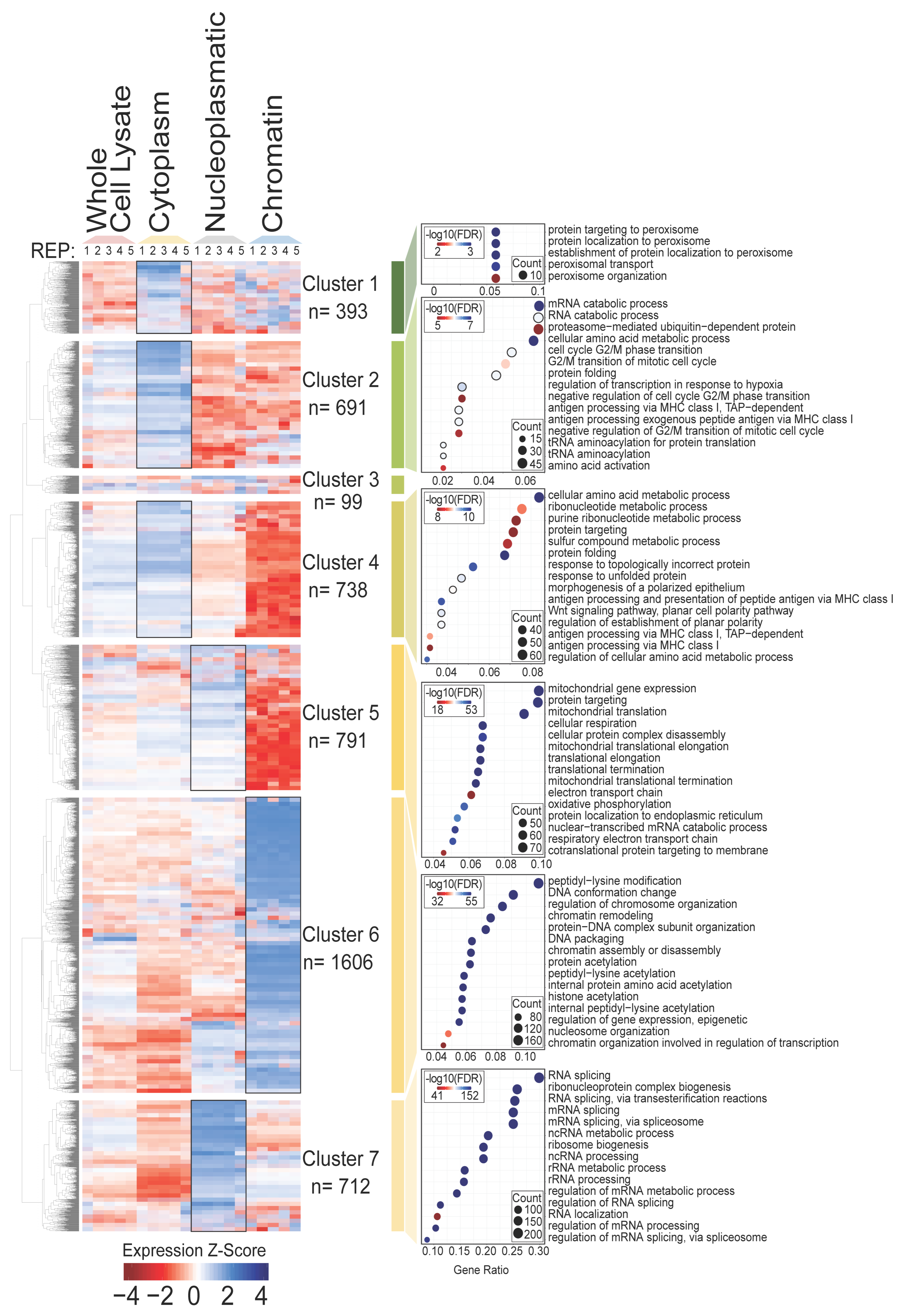 Biomolecules 14 00747 g002