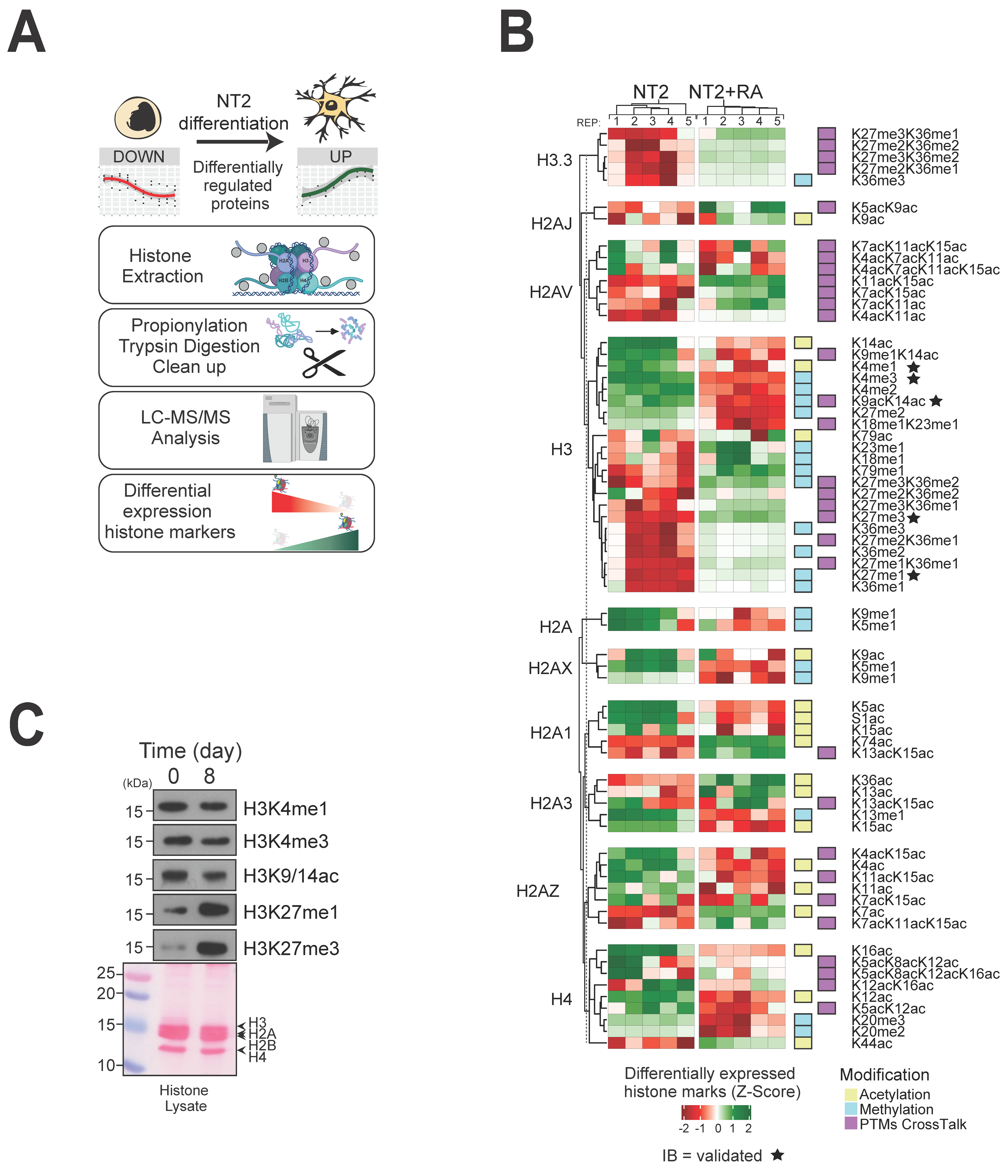 Biomolecules 14 00747 g005