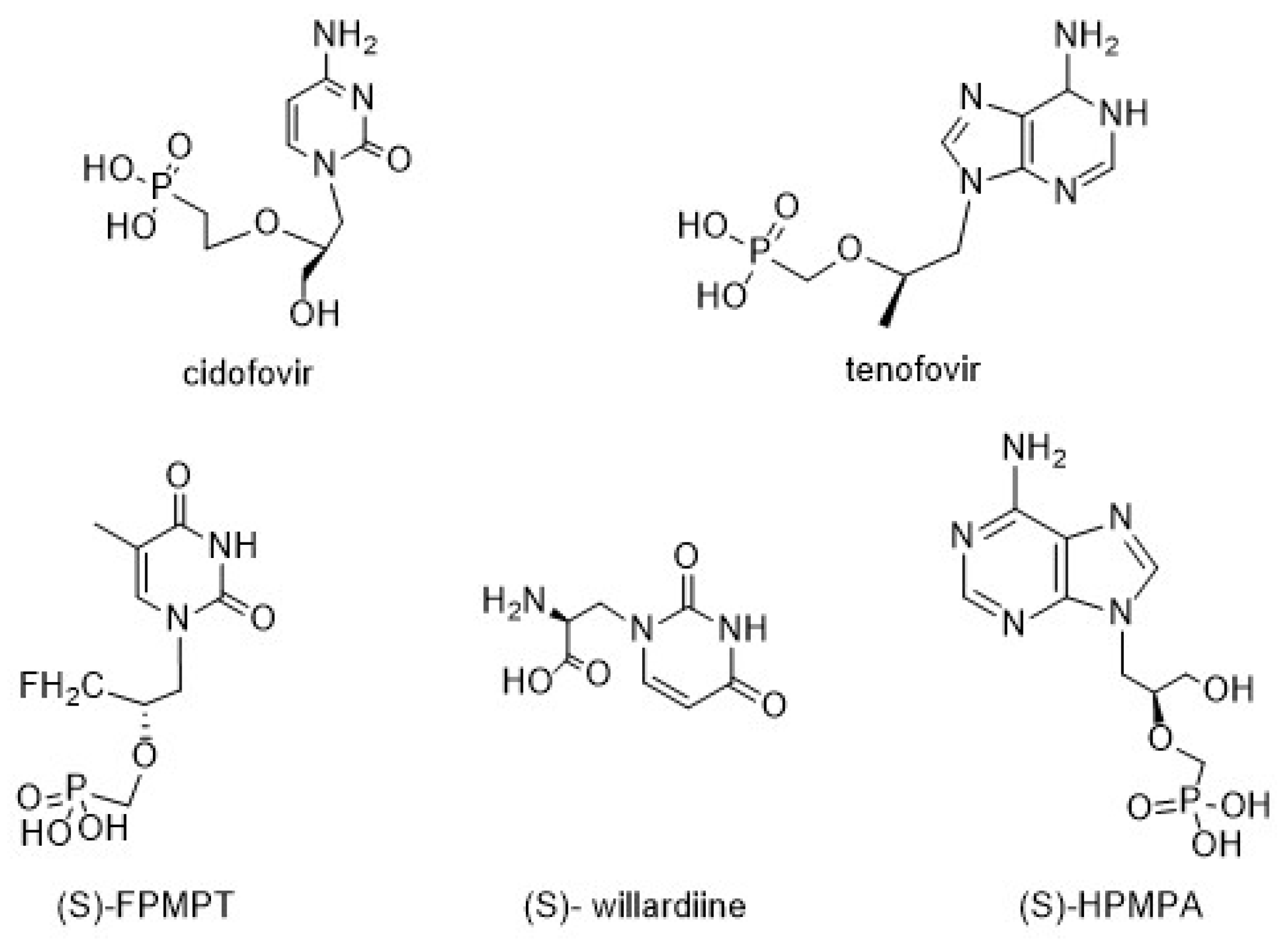Biomolecules 14 00750 g001