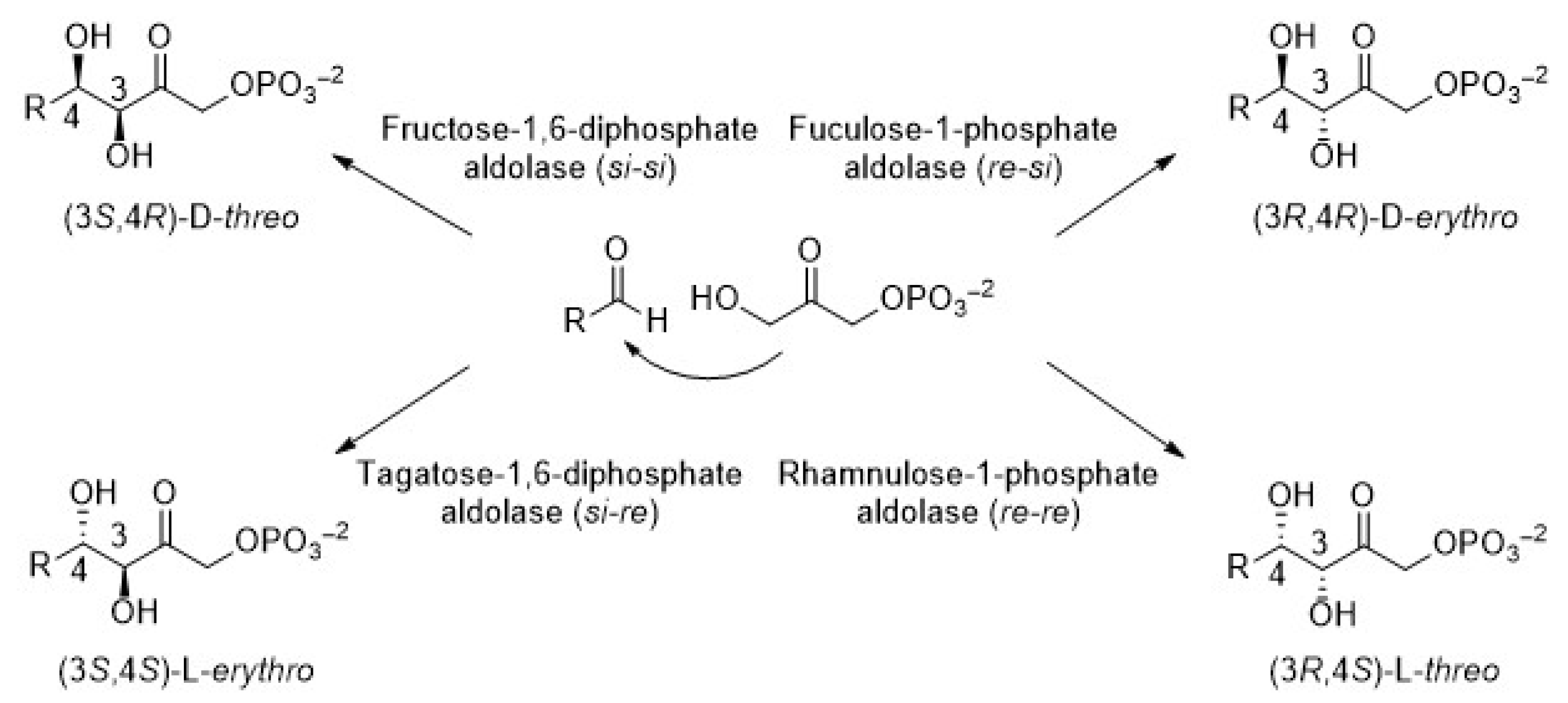 Biomolecules 14 00750 g002